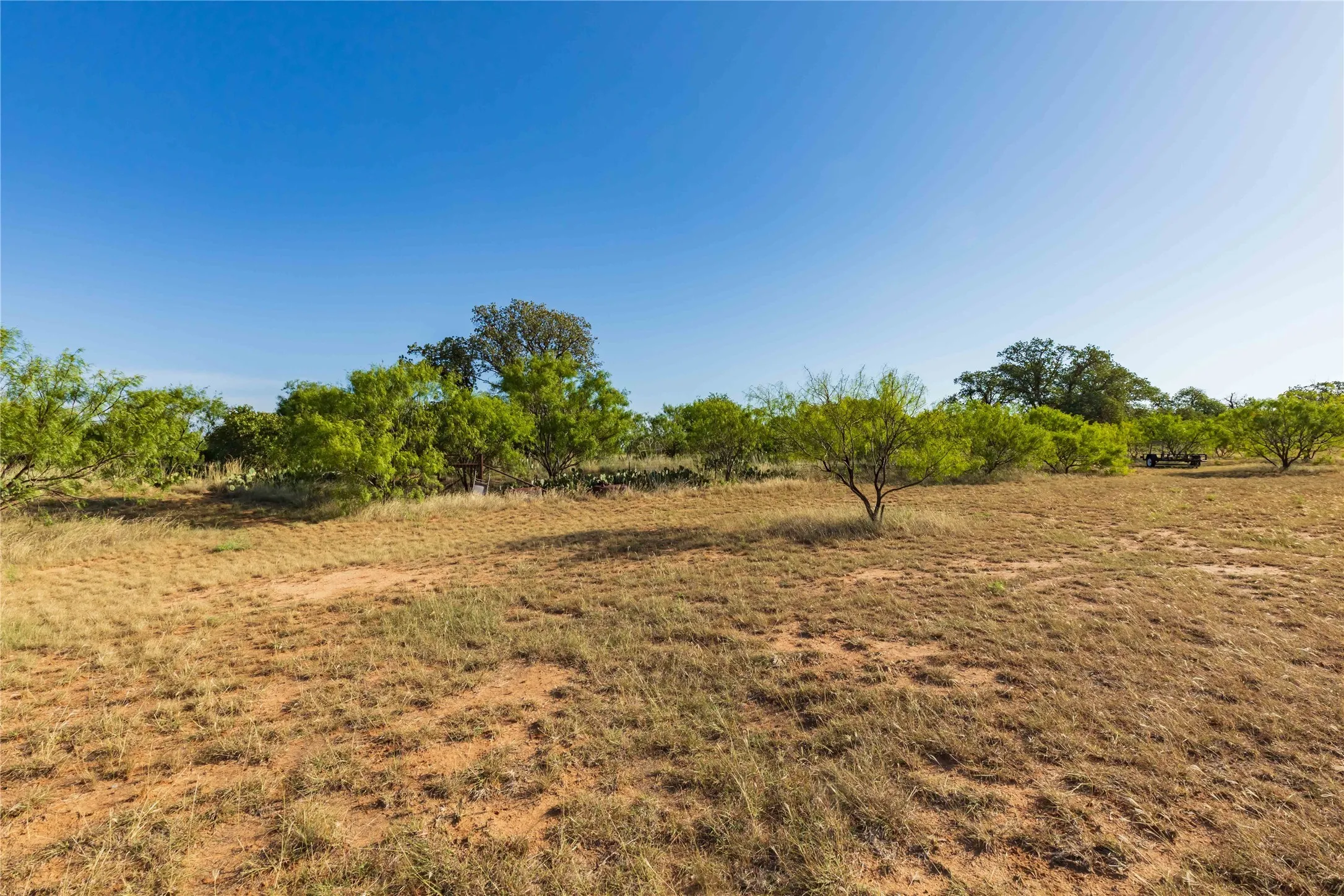 Unimproved Land For Sale in Jones County , FM FM 707, Anson, Texas 79501, 0, 0, Garage spaces, 0 Sqft, built in 0, Price $130,000, mls#21346606, Real Estate Agent in Anson, Homes For Sale in Jones county, Homes For Sale in Anson, Realtor in Anson Texas, Real Estate Brokerage Independent Realty Texas, Luminita Cordes Realtor