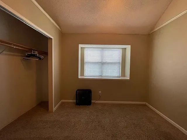Carpeted interior space featuring a window with horizontal blinds, neutral wall tones, white trim, and an open closet