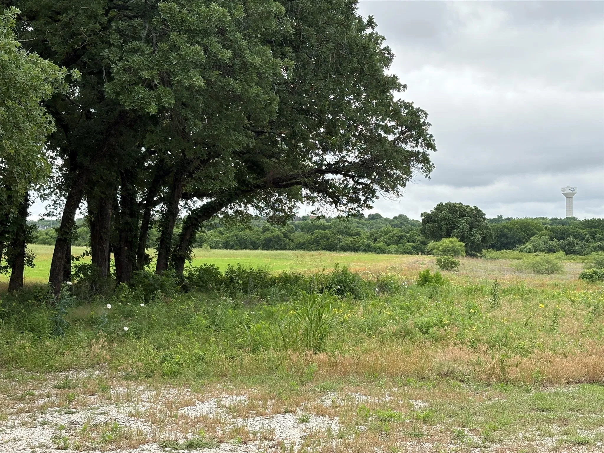 Expansive land parcel featuring mature trees, a gravel foreground, and a distant water tower