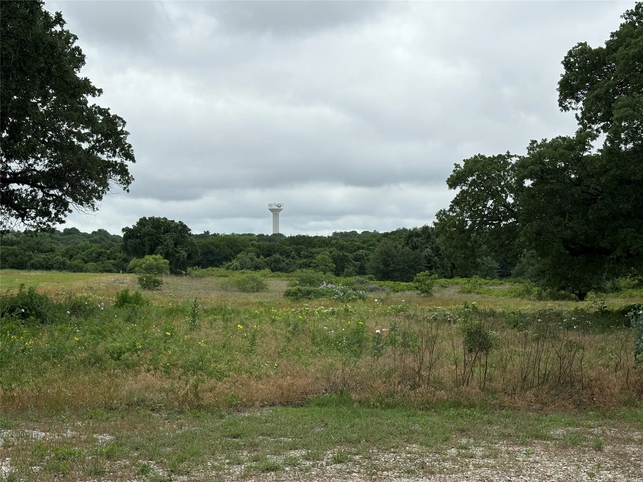 Expansive land parcel featuring open fields and mature perimeter trees