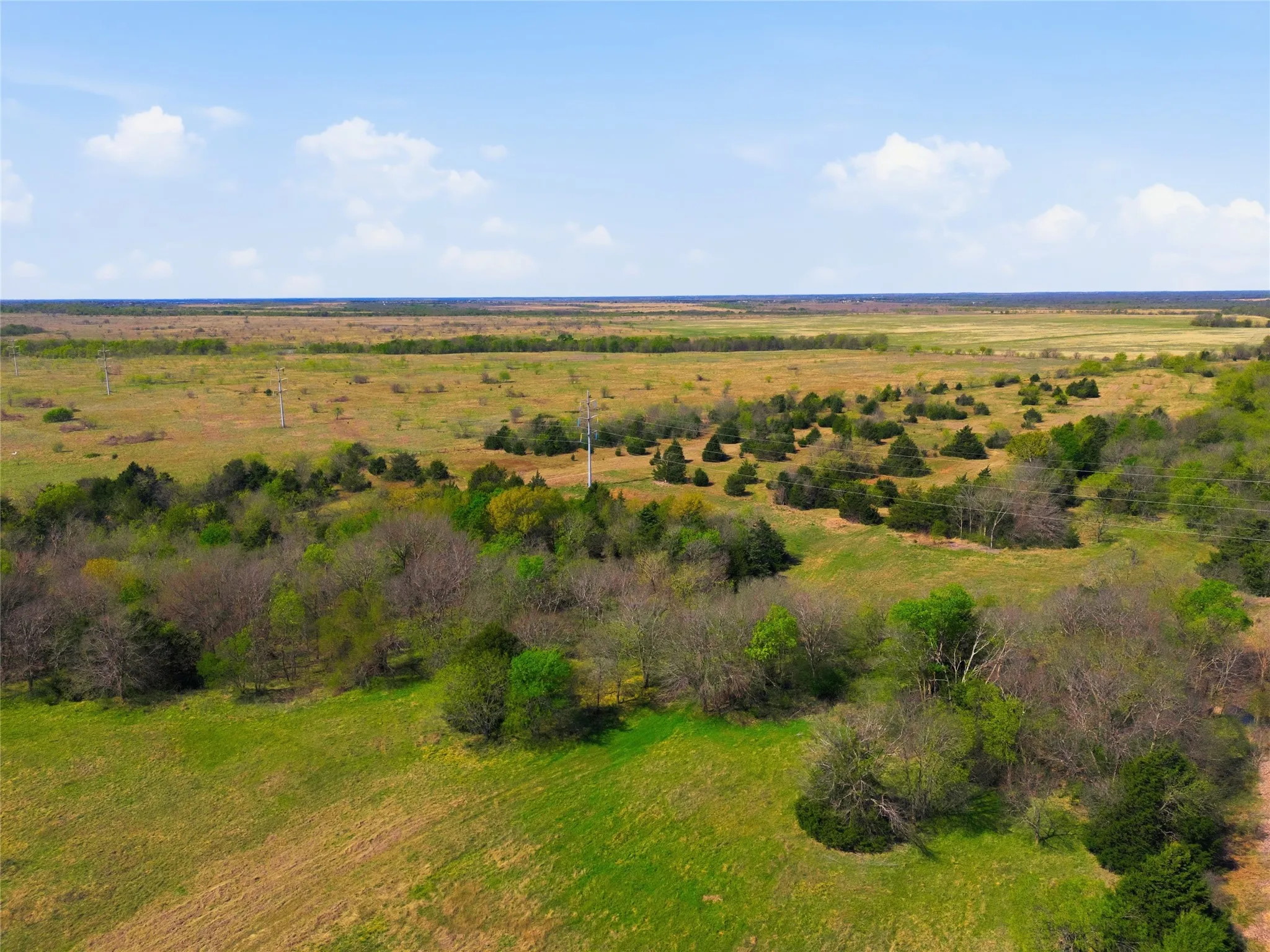 Expansive open land featuring a mix of mature trees and grassy areas