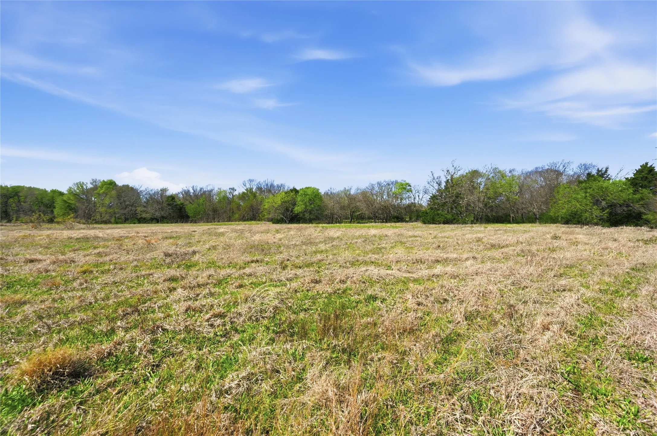 Unimproved Land For Sale in Navarro County , TBD Northwood Boulevard, Corsicana, Texas 75110, 0, 0, Garage spaces, 0 Sqft, built in 0, mls#21324576, Real Estate Agent in Corsicana, Homes For Sale in Navarro county, Homes For Sale in Corsicana, Realtor in Corsicana Texas, Real Estate Brokerage Independent Realty Texas, Luminita Cordes Realtor
