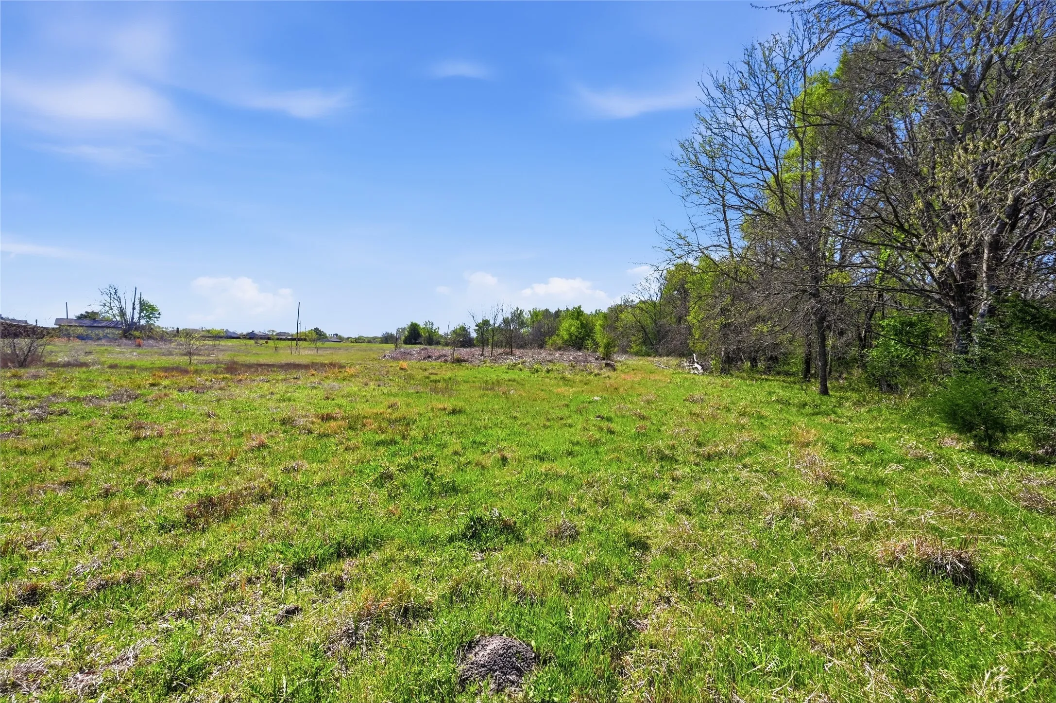 Expansive open land with natural ground cover and a perimeter of mature trees