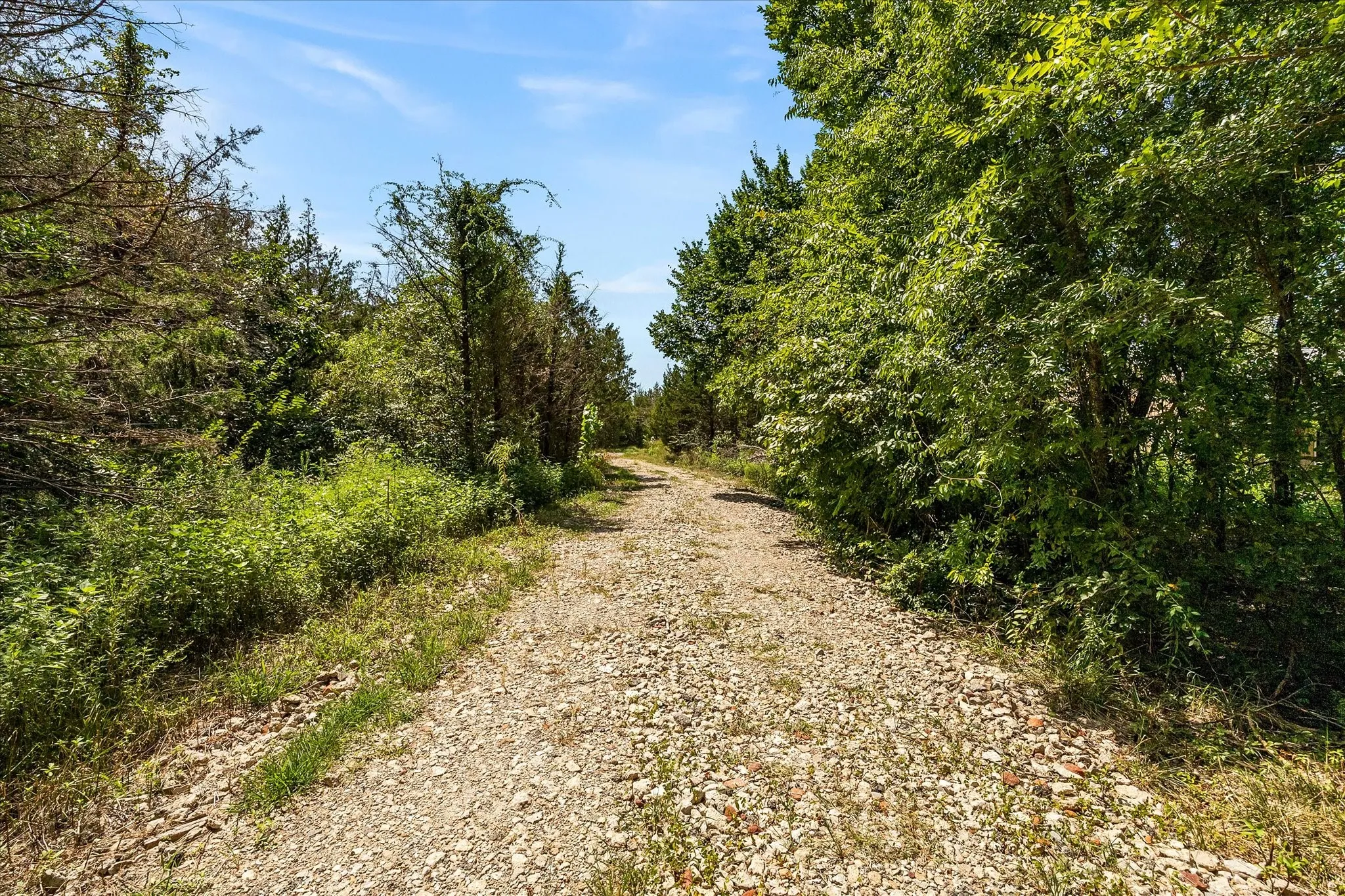 Rock/gravel road leading to the clearing.