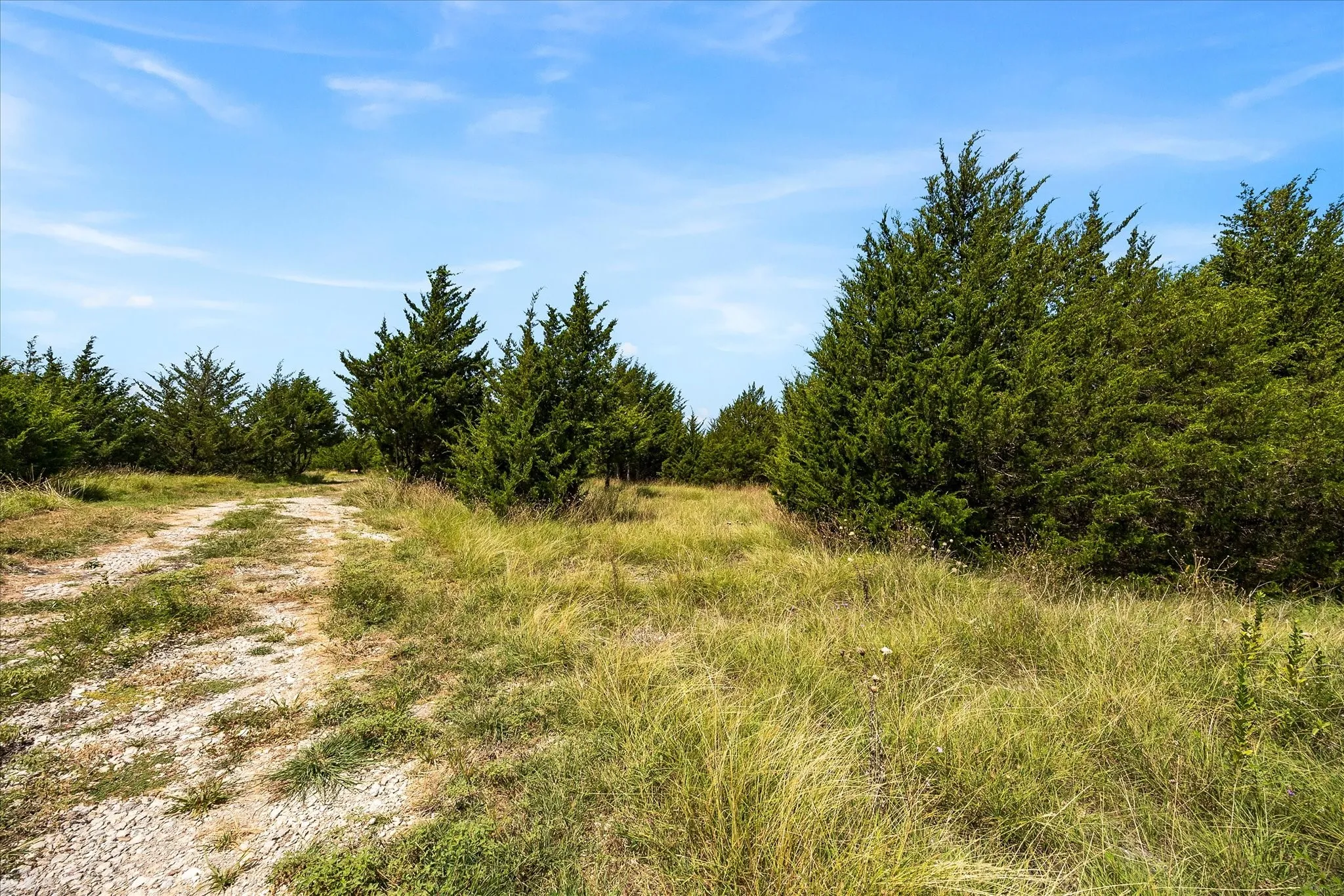 Proposed pull-through RV site.
