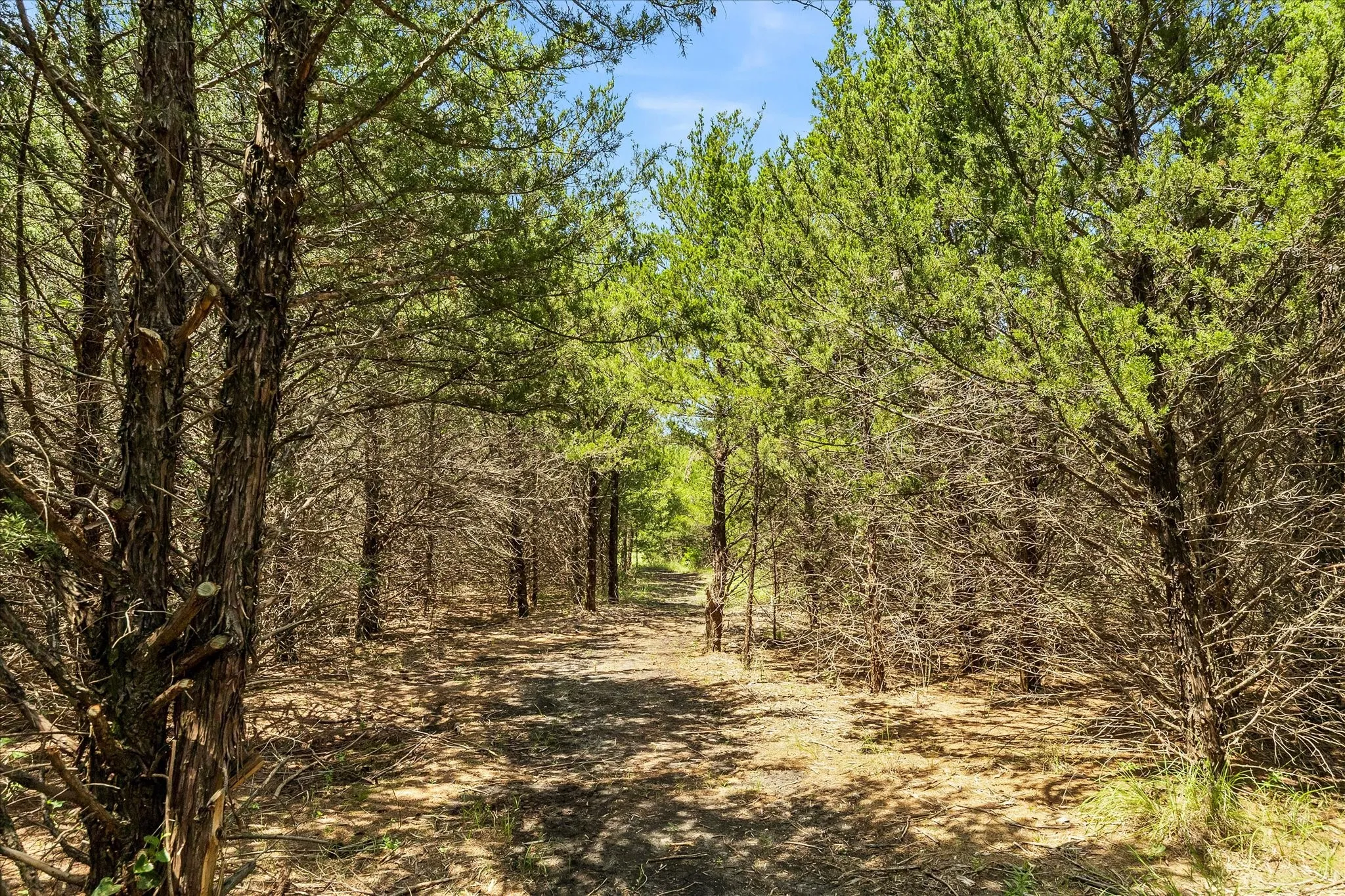 Hiking trail.