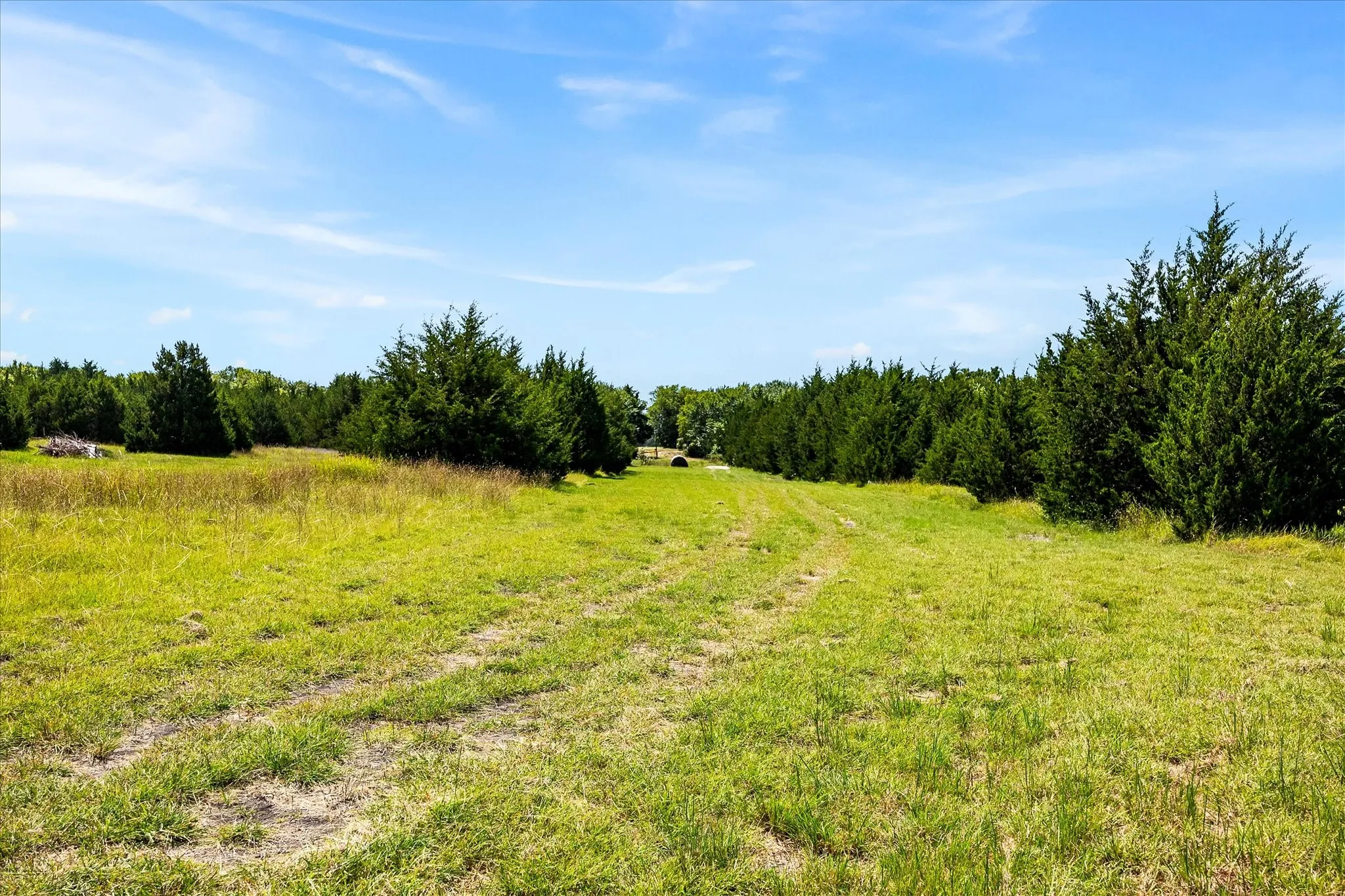 Tree line on the right is the approximate property line.