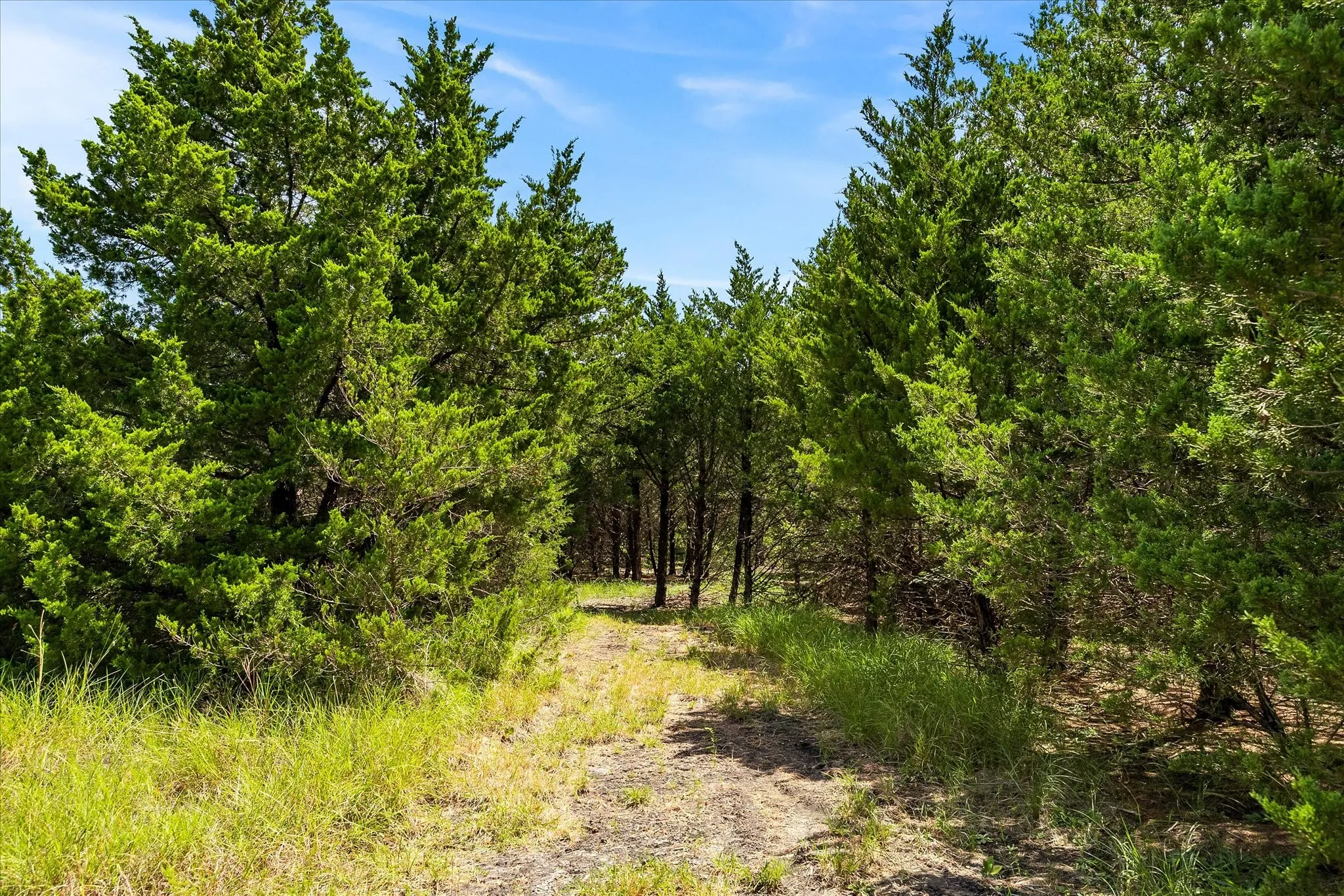 Hiking trail.