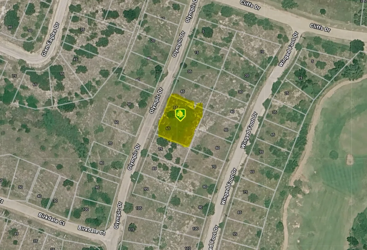 Unimproved Land For Sale in Palo Pinto County , 65 Olympic Drive, Graford, Texas 76449, 0, 0, Garage spaces, 0 Sqft, built in 0, Price $24,000, mls#21346822, Real Estate Agent in Graford, Homes For Sale in Palo Pinto county, Homes For Sale in Graford, Realtor in Graford Texas, Real Estate Brokerage Independent Realty Texas, Luminita Cordes Realtor