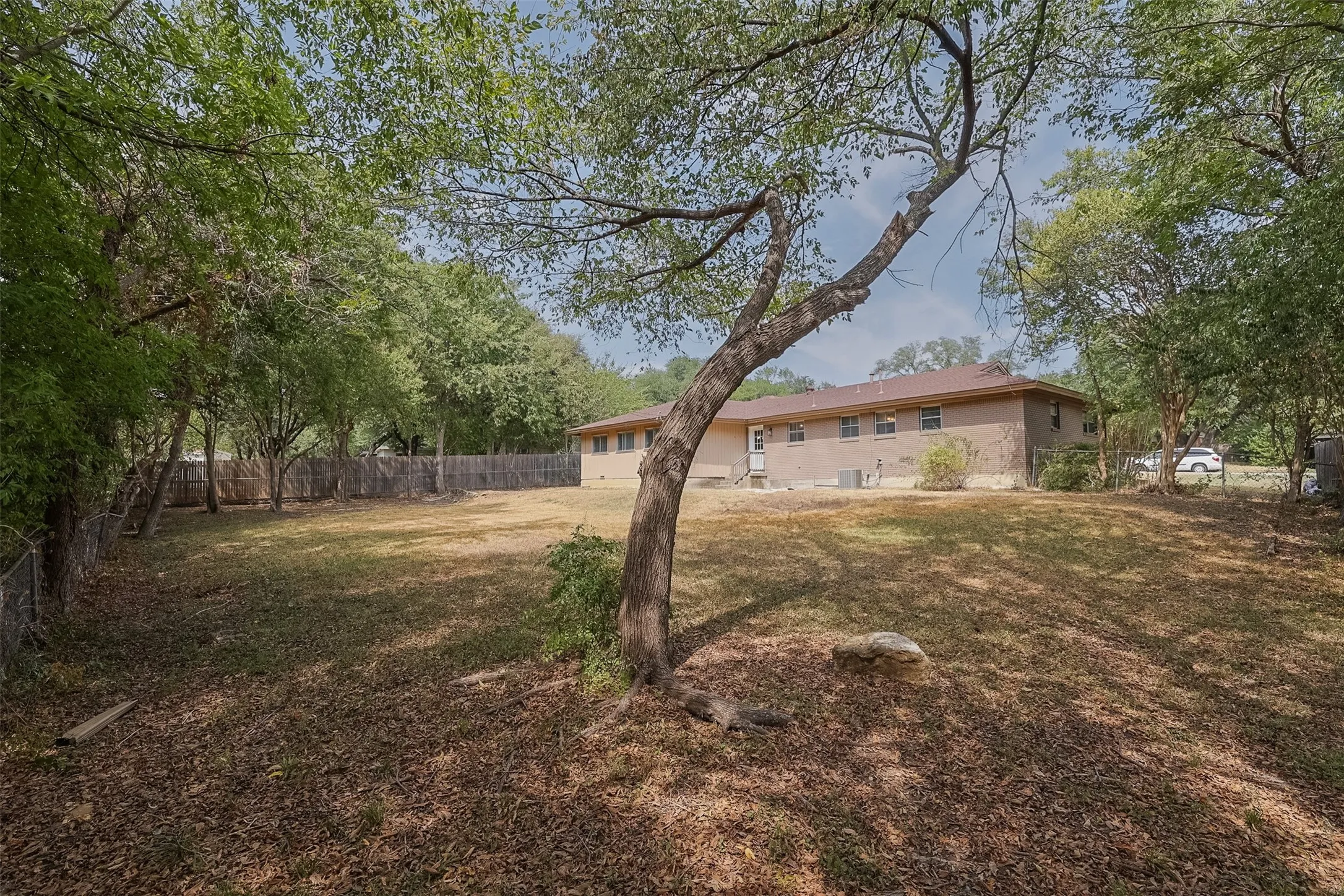 Expansive outdoor space featuring a mature tree, sloped terrain, and a partial wood fence