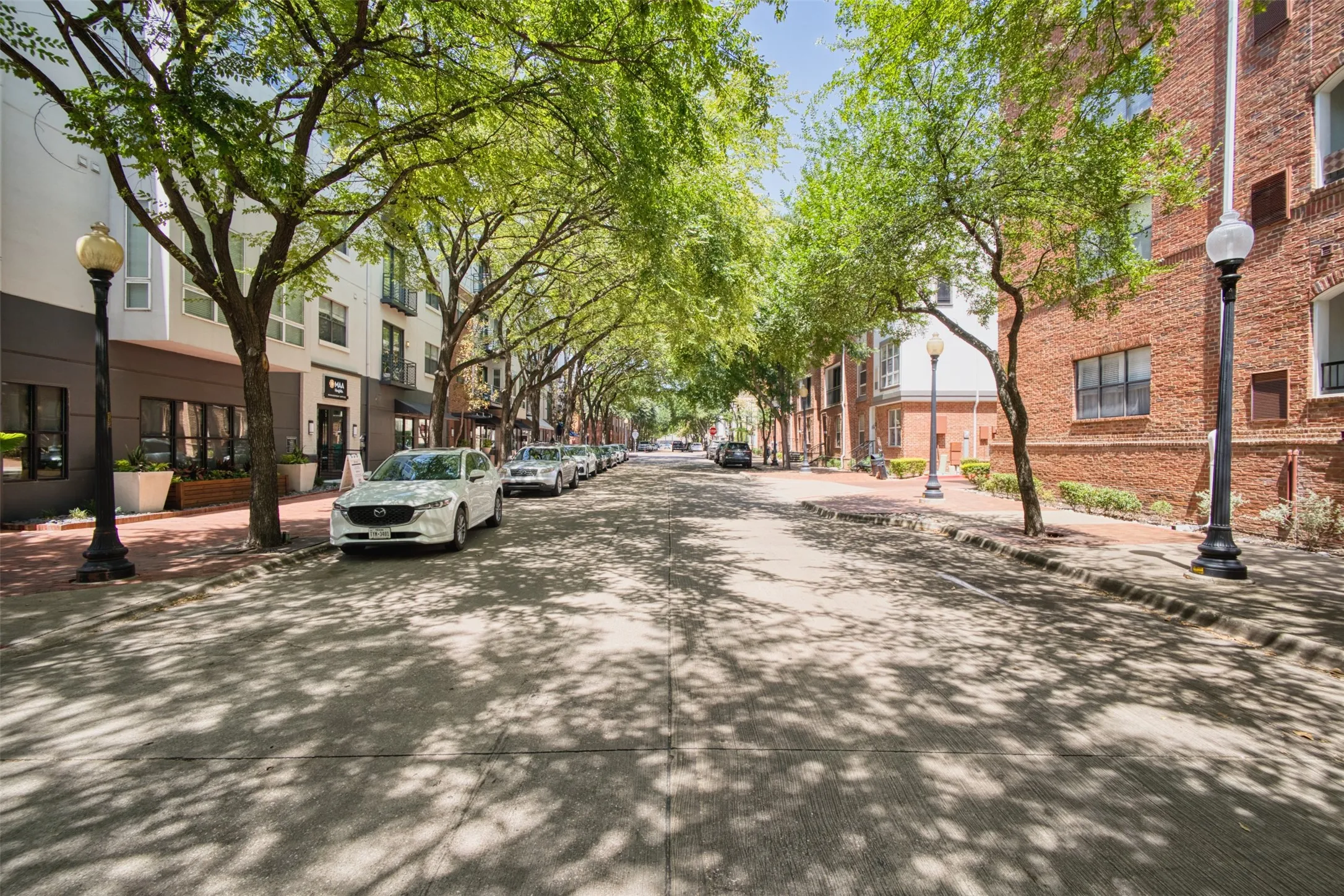 Tree-lined street with brick paver sidewalks, featuring modern multi-story buildings with balconies, and traditional brick facades