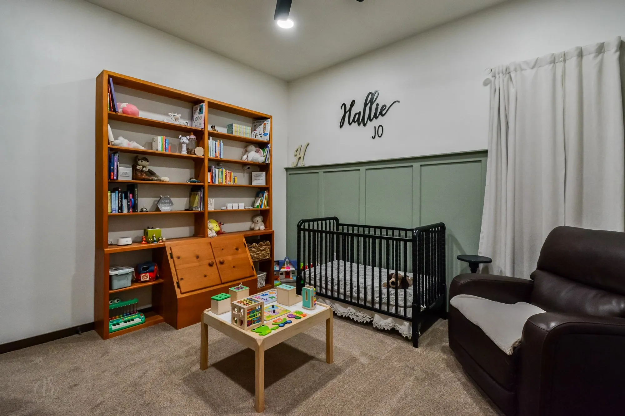 Carpeted room featuring a built-in wood-finish bookshelf, decorative wainscoting, and a ceiling-mounted light fixture