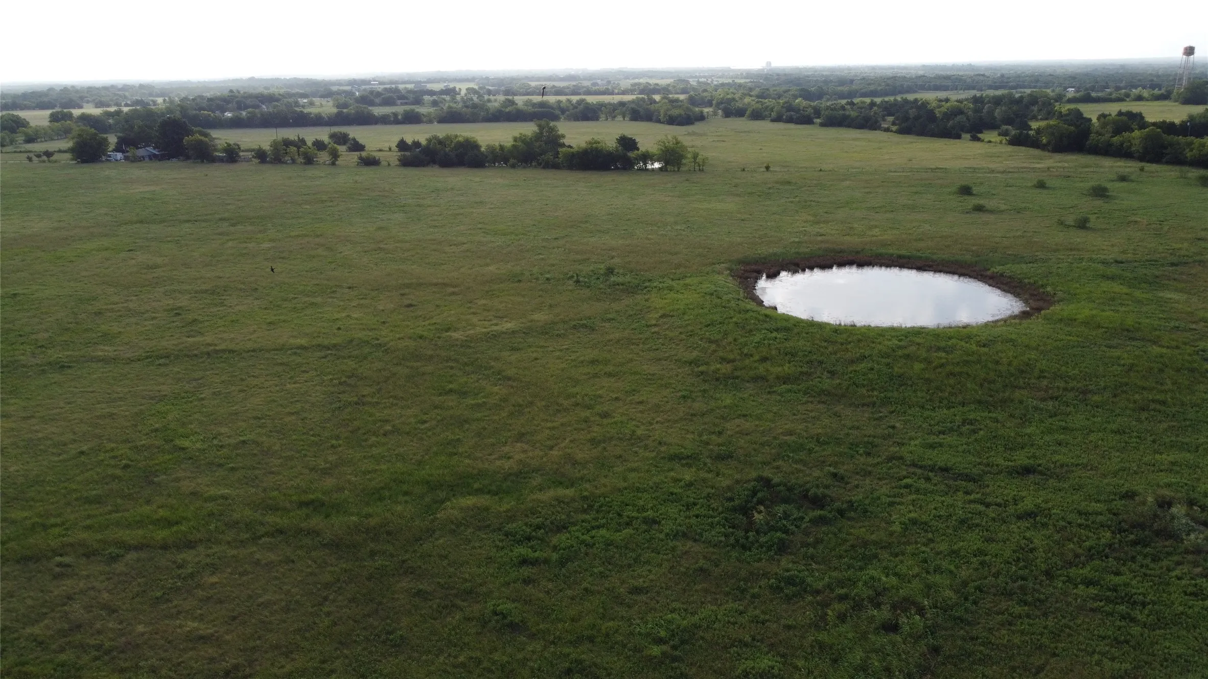 Ranch For Sale in Hunt County , 00 FM 512, Commerce, Texas 75428, 0, 0, Garage spaces, 0 Sqft, built in 0, Price $569,000, mls#21346123, Real Estate Agent in Commerce, Homes For Sale in Hunt county, Homes For Sale in Commerce, Realtor in Commerce Texas, Real Estate Brokerage Independent Realty Texas, Luminita Cordes Realtor