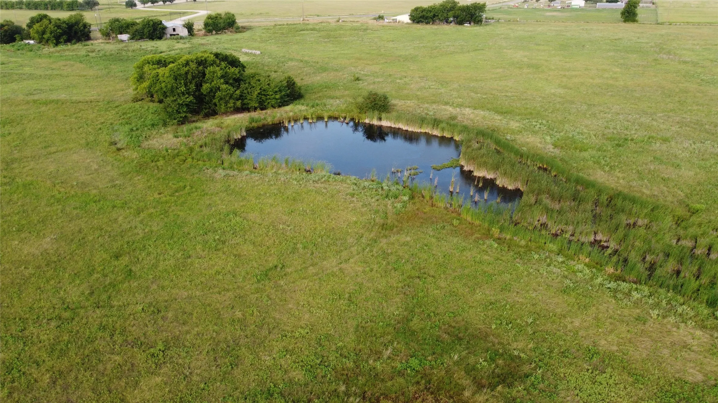 Ranch For Sale in Hunt County , 00 FM 512, Commerce, Texas 75428, 0, 0, Garage spaces, 0 Sqft, built in 0, Price $569,000, mls#21346123, Real Estate Agent in Commerce, Homes For Sale in Hunt county, Homes For Sale in Commerce, Realtor in Commerce Texas, Real Estate Brokerage Independent Realty Texas, Luminita Cordes Realtor