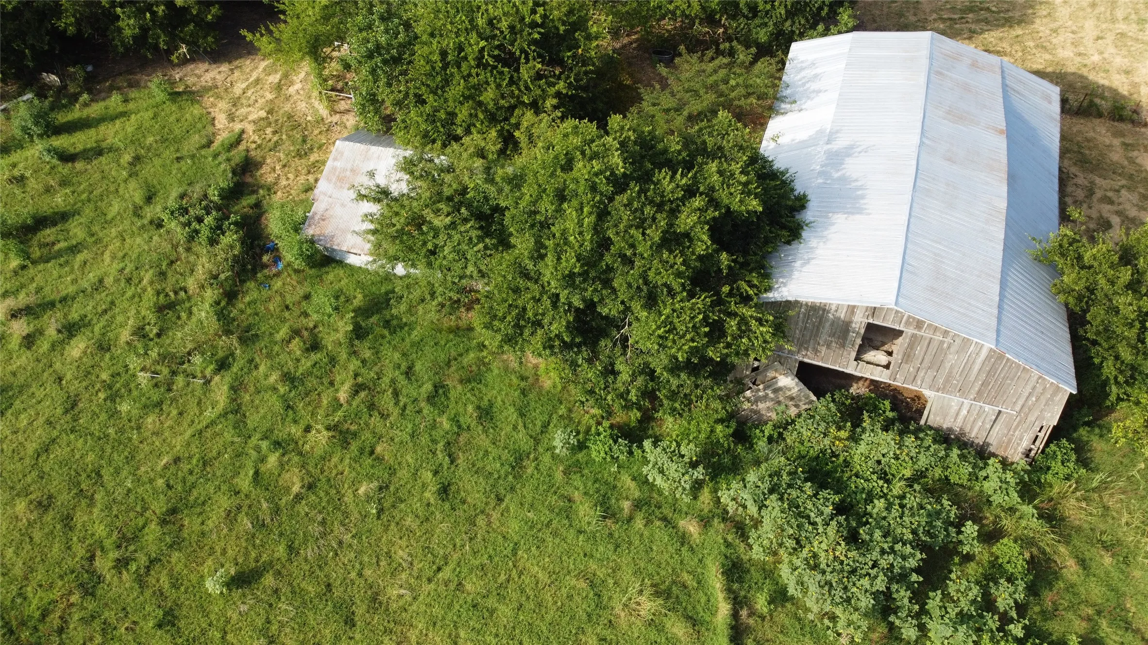 Ranch For Sale in Hunt County , 00 FM 512, Commerce, Texas 75428, 0, 0, Garage spaces, 0 Sqft, built in 0, Price $569,000, mls#21346123, Real Estate Agent in Commerce, Homes For Sale in Hunt county, Homes For Sale in Commerce, Realtor in Commerce Texas, Real Estate Brokerage Independent Realty Texas, Luminita Cordes Realtor