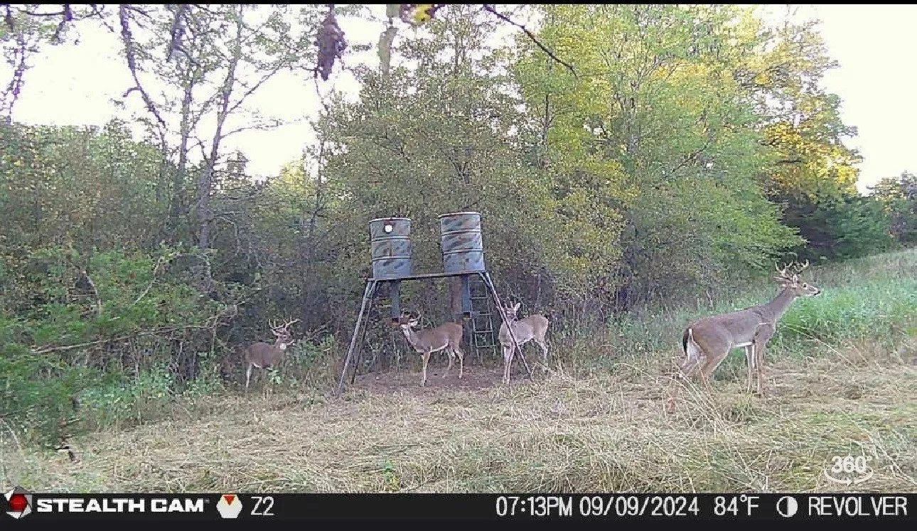 Farm For Sale in Grayson County , 3636 State Highway 56, Bells, Texas 75414, 3 Bedroom, 1 Bathroom, Garage spaces, 1,025 Sqft, built in 1965, mls#21344700, Real Estate Agent in Bells, Homes For Sale in Grayson county, Homes For Sale in Bells, Realtor in Bells Texas, Real Estate Brokerage Independent Realty Texas, Luminita Cordes Realtor