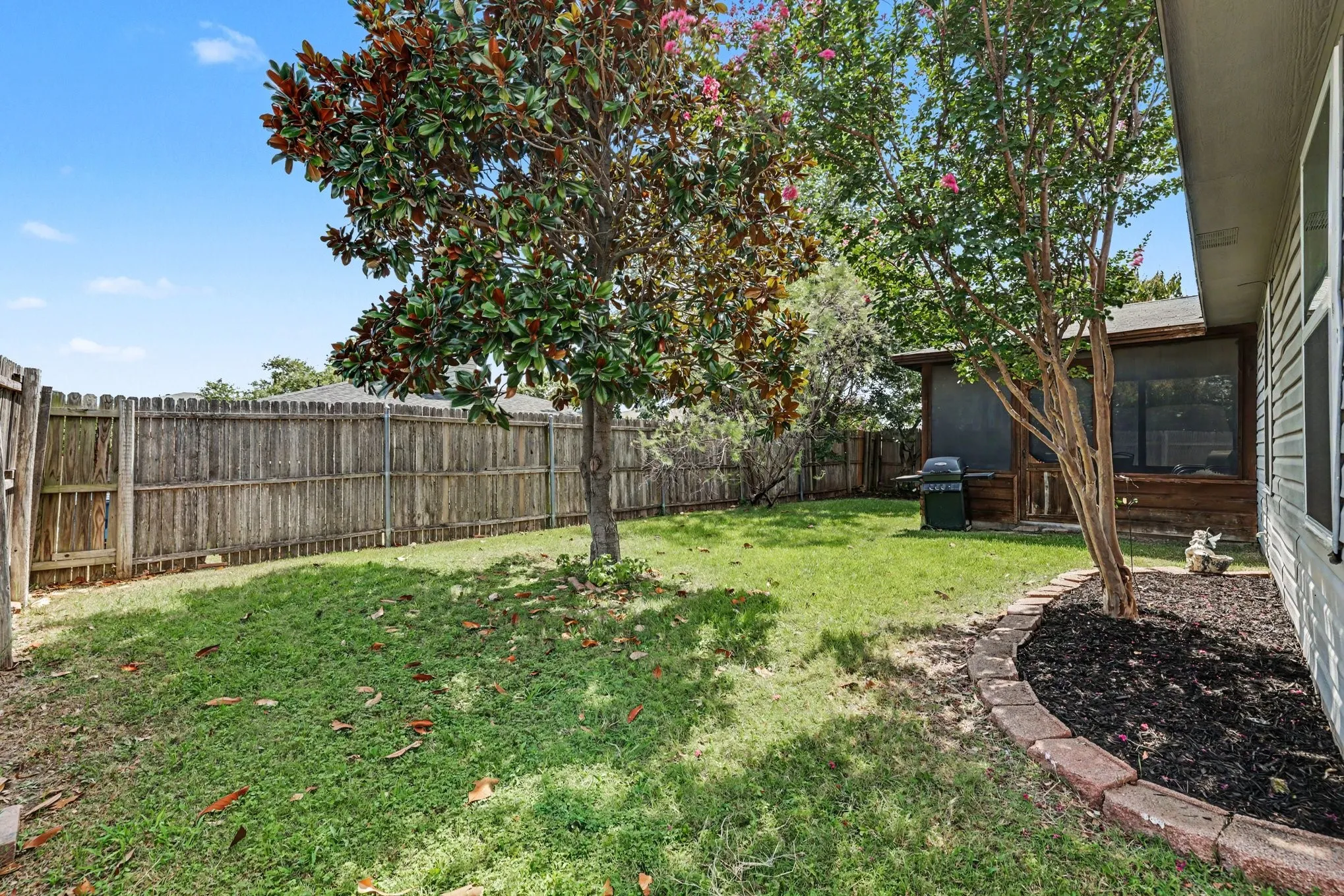Beautiful magnolia tree in backyard and large planting area
