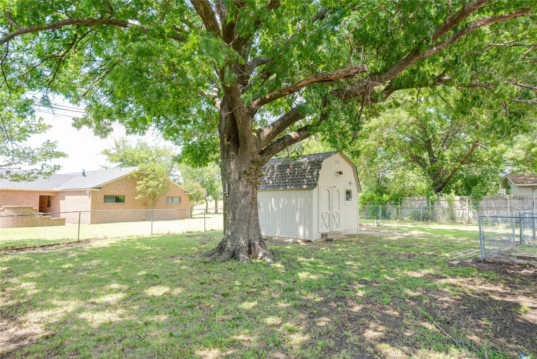 Spacious backyard featuring a large tree providing ample shade, a white storage shed with a gambrel roof, and a chain-link fence enclosing the perimeter