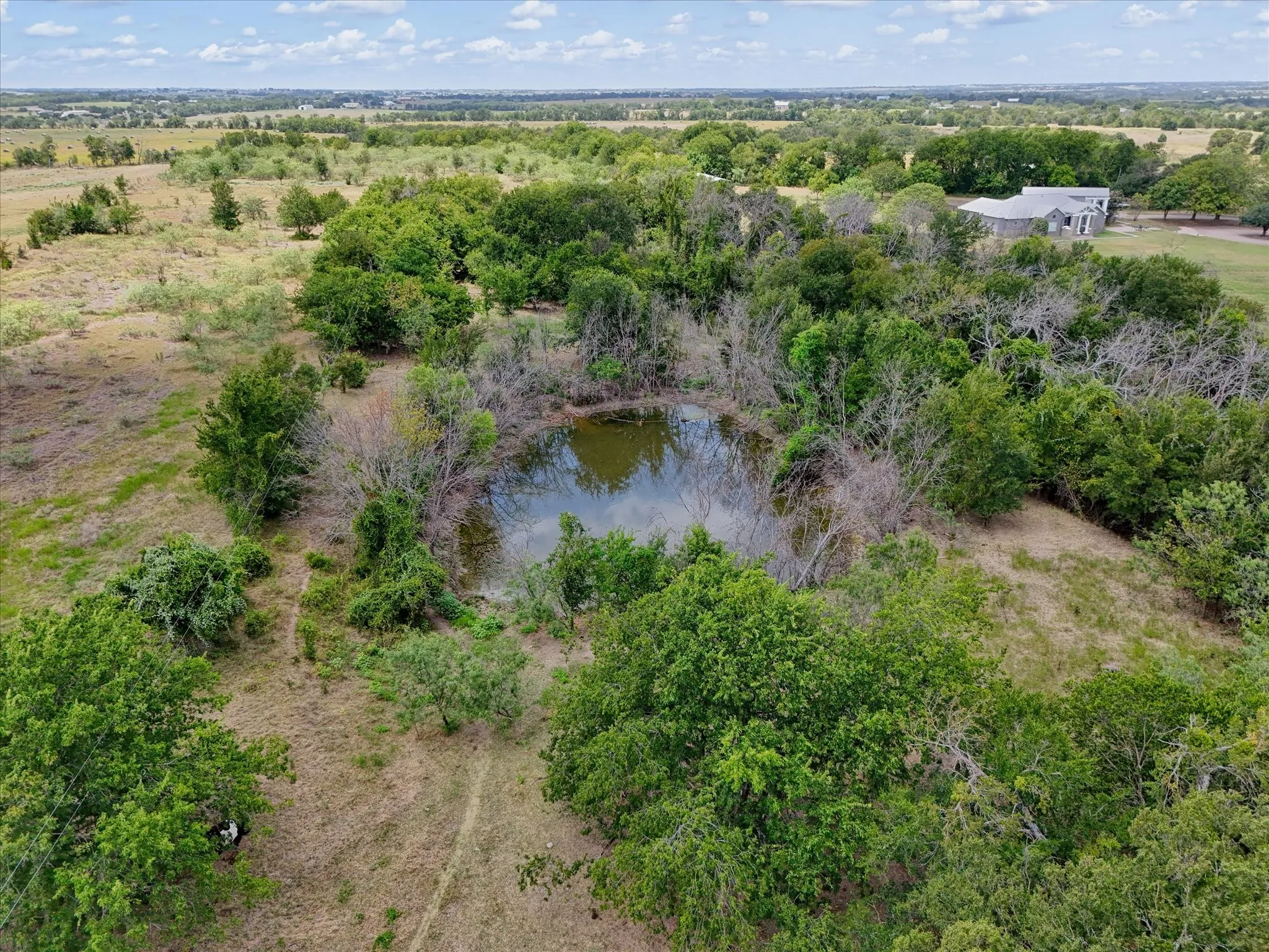 Expansive natural landscape featuring a pond, mature trees, open grassy areas, and a distant structure
