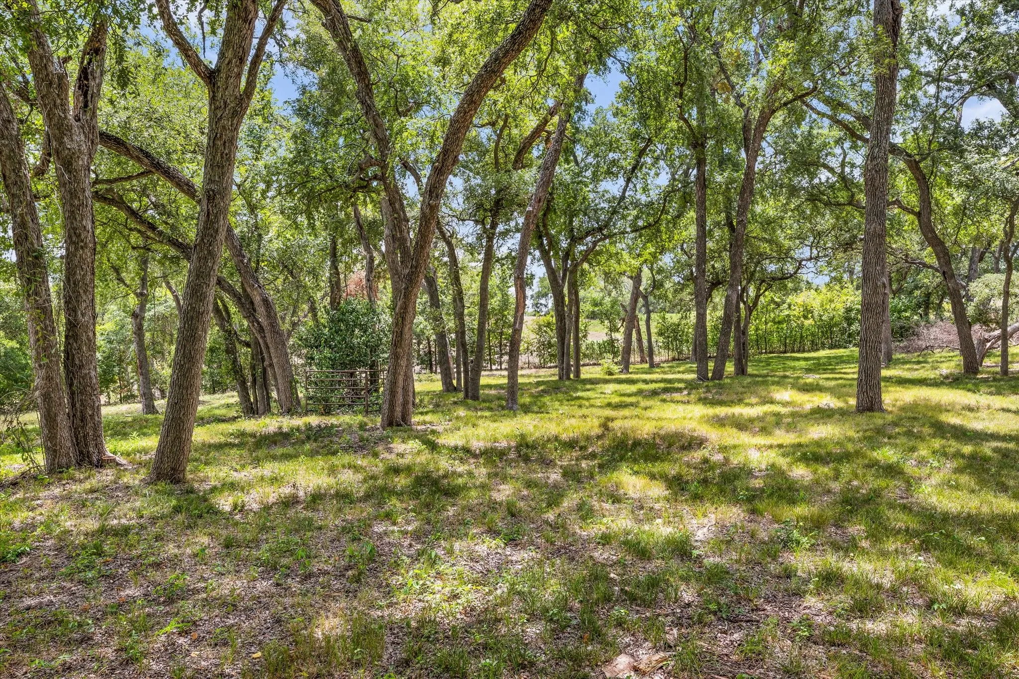 Single Family Residence For Sale in Mc Lennan County , 2534 S Robinson Drive, Robinson, Texas 76706, 3 Bedroom, 3 Bathroom, 2 Garage spaces, 2,712 Sqft, built in 1976, mls#21346491, Real Estate Agent in Robinson, Homes For Sale in Mc Lennan county, Homes For Sale in Robinson, Realtor in Robinson Texas, Real Estate Brokerage Independent Realty Texas, Luminita Cordes Realtor