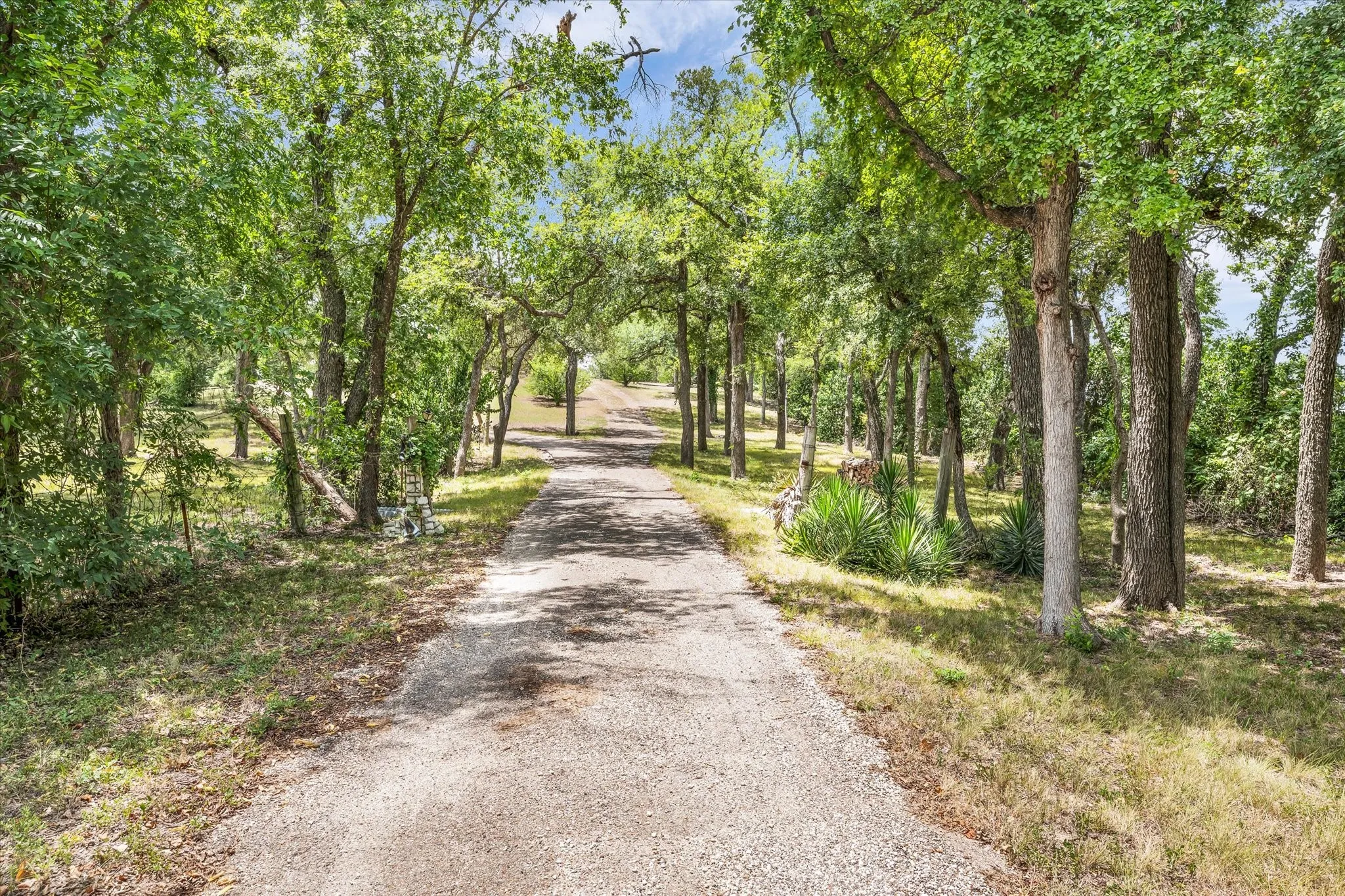 Gravel driveway with abundant mature trees and natural landscaping