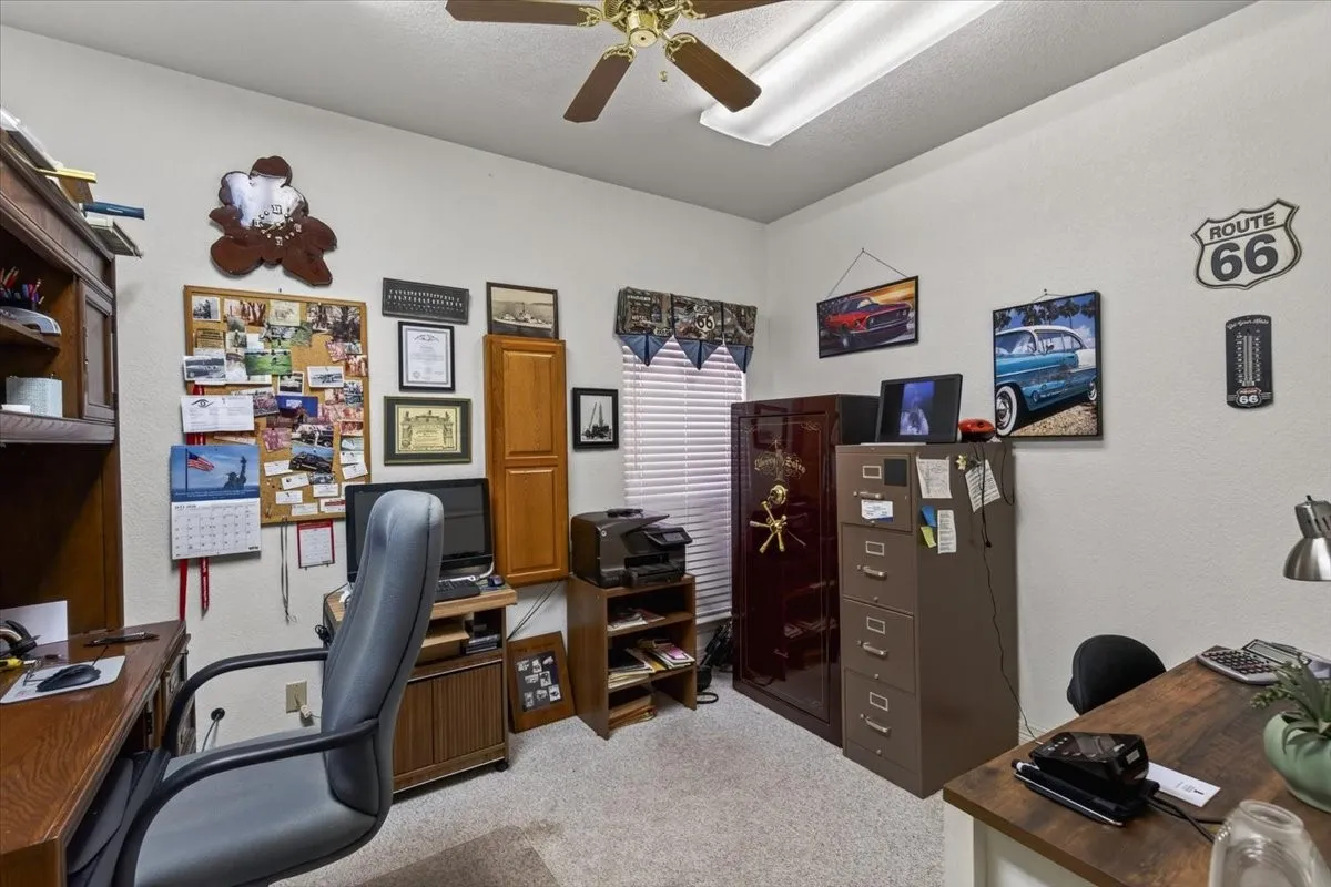 Carpeted room with a ceiling fan, window with blinds, and white walls