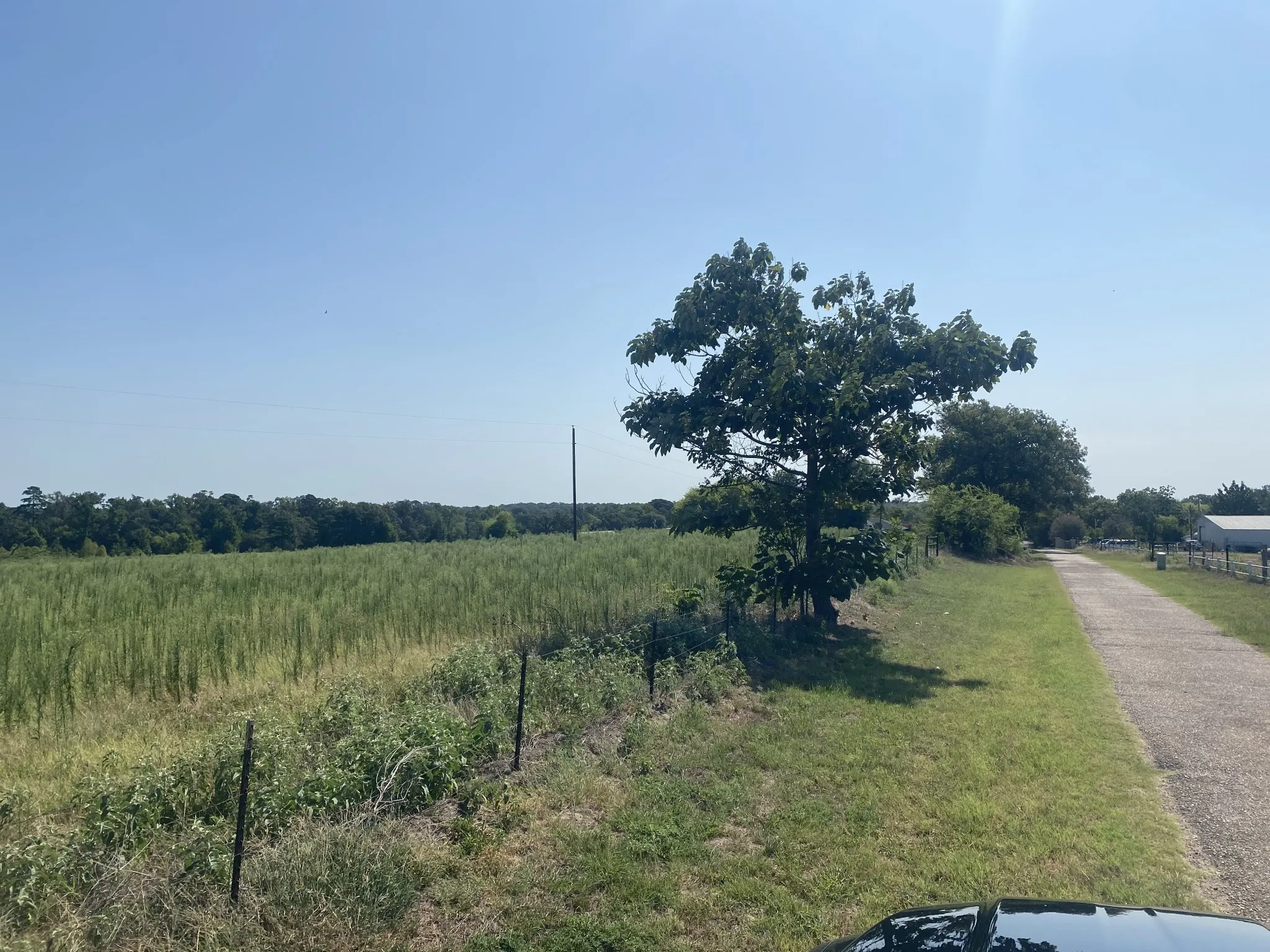 Unimproved Land For Sale in Camp County , 000 CR 1323, Pittsburg, Texas 75686, 0, 0, Garage spaces, 0 Sqft, built in 0, Price $69,900, mls#21346965, Real Estate Agent in Pittsburg, Homes For Sale in Camp county, Homes For Sale in Pittsburg, Realtor in Pittsburg Texas, Real Estate Brokerage Independent Realty Texas, Luminita Cordes Realtor