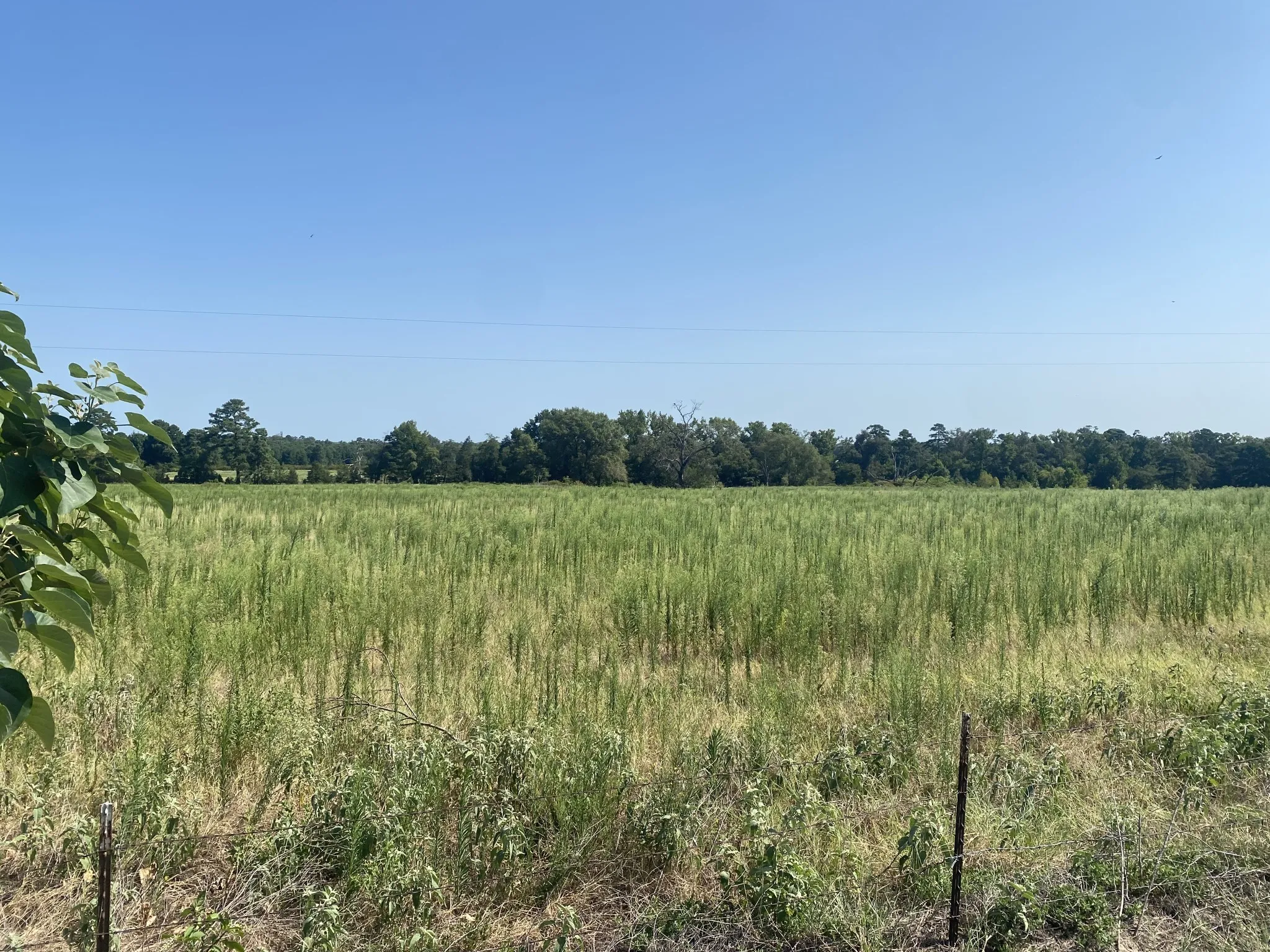 Unimproved Land For Sale in Camp County , 000 CR 1323, Pittsburg, Texas 75686, 0, 0, Garage spaces, 0 Sqft, built in 0, Price $69,900, mls#21346965, Real Estate Agent in Pittsburg, Homes For Sale in Camp county, Homes For Sale in Pittsburg, Realtor in Pittsburg Texas, Real Estate Brokerage Independent Realty Texas, Luminita Cordes Realtor