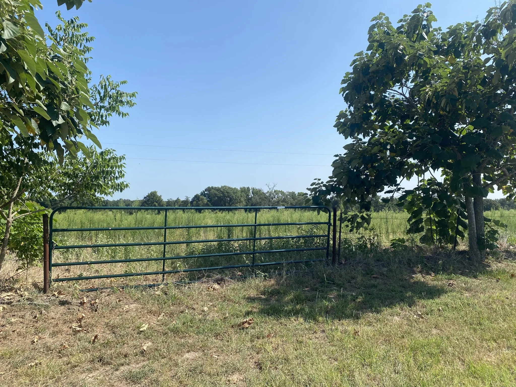 Unimproved Land For Sale in Camp County , 000 CR 1323, Pittsburg, Texas 75686, 0, 0, Garage spaces, 0 Sqft, built in 0, Price $69,900, mls#21346965, Real Estate Agent in Pittsburg, Homes For Sale in Camp county, Homes For Sale in Pittsburg, Realtor in Pittsburg Texas, Real Estate Brokerage Independent Realty Texas, Luminita Cordes Realtor