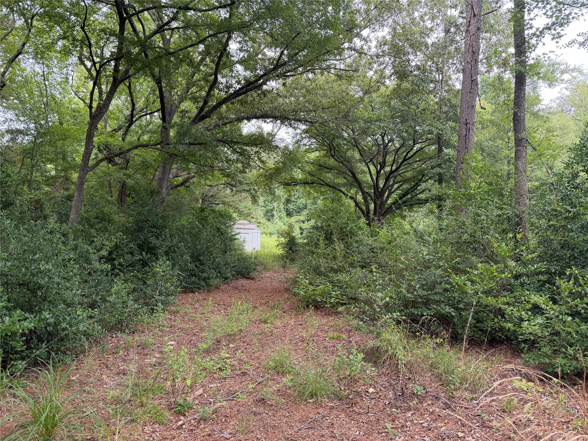 Improved Land For Sale in Henderson County , 10490 Browning Street, Brownsboro, Texas 75756, 0, 0, Garage spaces, 0 Sqft, built in 0, Price $75,000, mls#21347026, Real Estate Agent in Brownsboro, Homes For Sale in Henderson county, Homes For Sale in Brownsboro, Realtor in Brownsboro Texas, Real Estate Brokerage Independent Realty Texas, Luminita Cordes Realtor