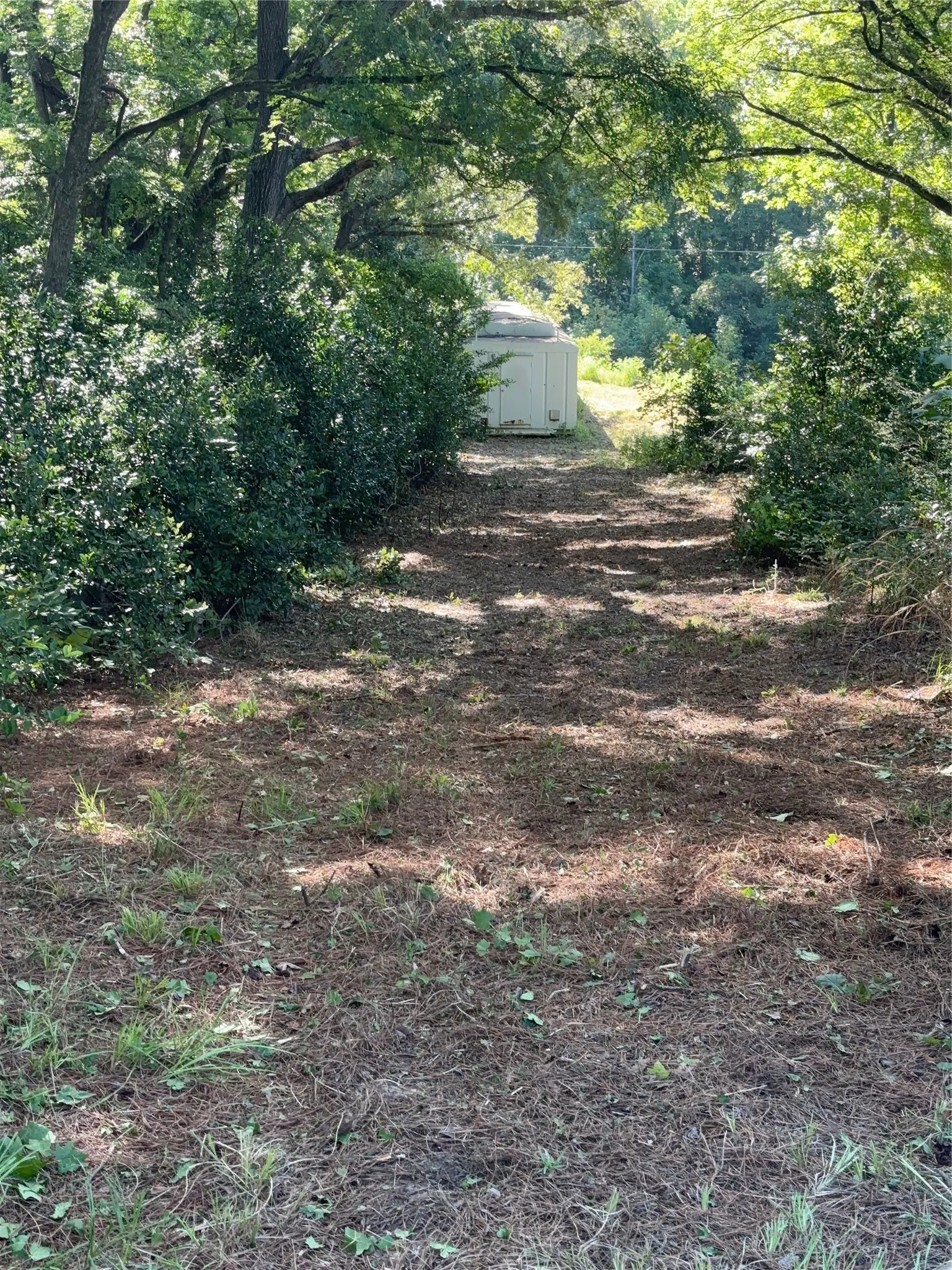Improved Land For Sale in Henderson County , 10490 Browning Street, Brownsboro, Texas 75756, 0, 0, Garage spaces, 0 Sqft, built in 0, Price $75,000, mls#21347026, Real Estate Agent in Brownsboro, Homes For Sale in Henderson county, Homes For Sale in Brownsboro, Realtor in Brownsboro Texas, Real Estate Brokerage Independent Realty Texas, Luminita Cordes Realtor