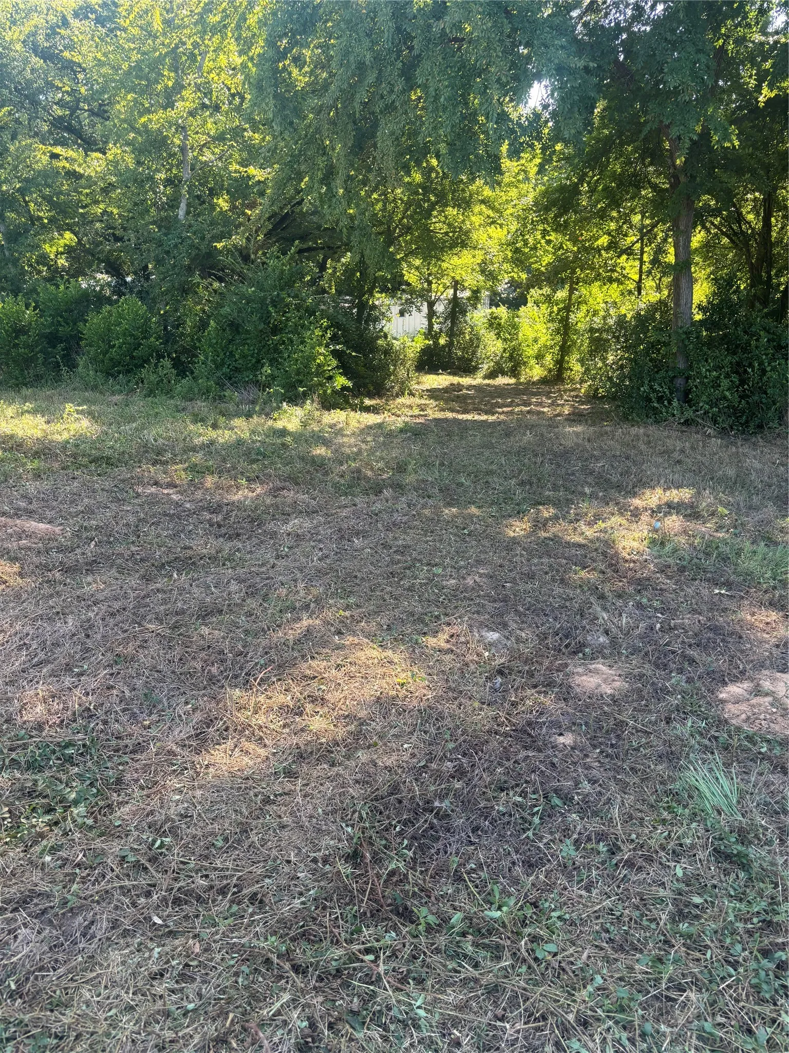 Improved Land For Sale in Henderson County , 10490 Browning Street, Brownsboro, Texas 75756, 0, 0, Garage spaces, 0 Sqft, built in 0, Price $75,000, mls#21347026, Real Estate Agent in Brownsboro, Homes For Sale in Henderson county, Homes For Sale in Brownsboro, Realtor in Brownsboro Texas, Real Estate Brokerage Independent Realty Texas, Luminita Cordes Realtor