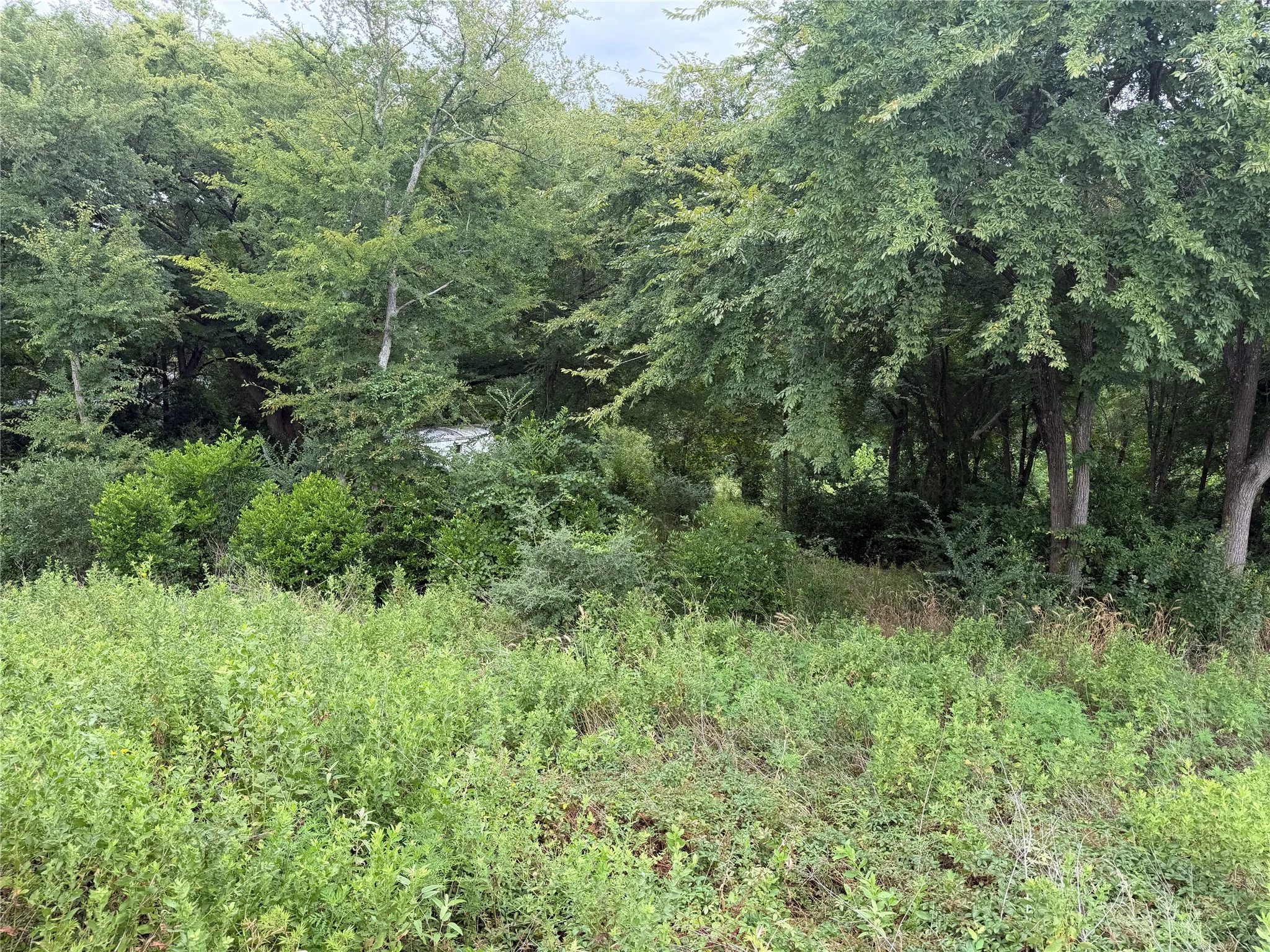 Improved Land For Sale in Henderson County , 10490 Browning Street, Brownsboro, Texas 75756, 0, 0, Garage spaces, 0 Sqft, built in 0, Price $75,000, mls#21347026, Real Estate Agent in Brownsboro, Homes For Sale in Henderson county, Homes For Sale in Brownsboro, Realtor in Brownsboro Texas, Real Estate Brokerage Independent Realty Texas, Luminita Cordes Realtor