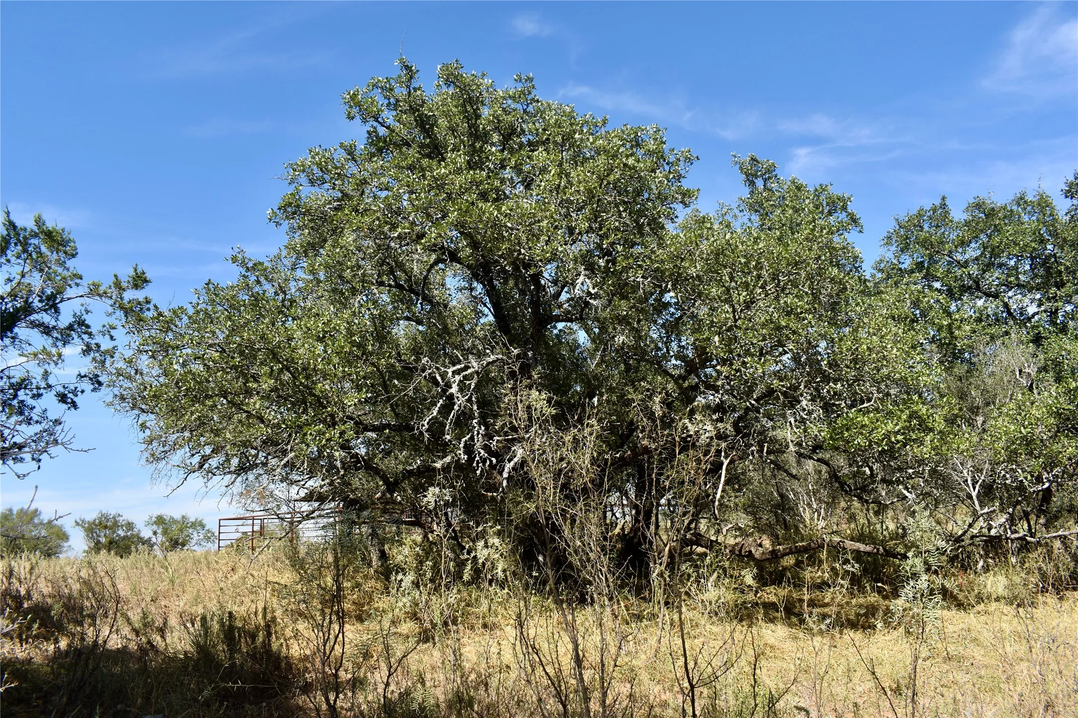 Single Family Residence For Sale in Mason County , 19319 Ranch Road 1871, Mason, Texas 76856, 4 Bedrooms, 3 Bathrooms, Garage spaces, 2,734 Sqft, built in 2005, Price $1,100,000, mls#21346995, Real Estate Agent in Mason, Homes For Sale in Mason county, Homes For Sale in Mason, Realtor in Mason Texas, Real Estate Brokerage Independent Realty Texas, Luminita Cordes Realtor
