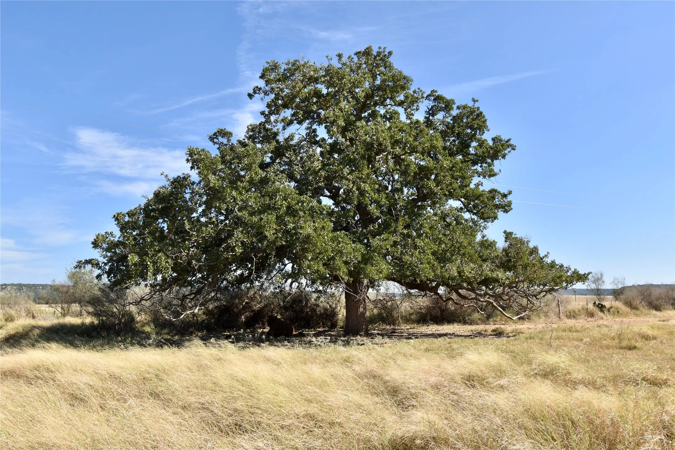 Single Family Residence For Sale in Mason County , 19319 Ranch Road 1871, Mason, Texas 76856, 4 Bedrooms, 3 Bathrooms, Garage spaces, 2,734 Sqft, built in 2005, Price $1,100,000, mls#21346995, Real Estate Agent in Mason, Homes For Sale in Mason county, Homes For Sale in Mason, Realtor in Mason Texas, Real Estate Brokerage Independent Realty Texas, Luminita Cordes Realtor