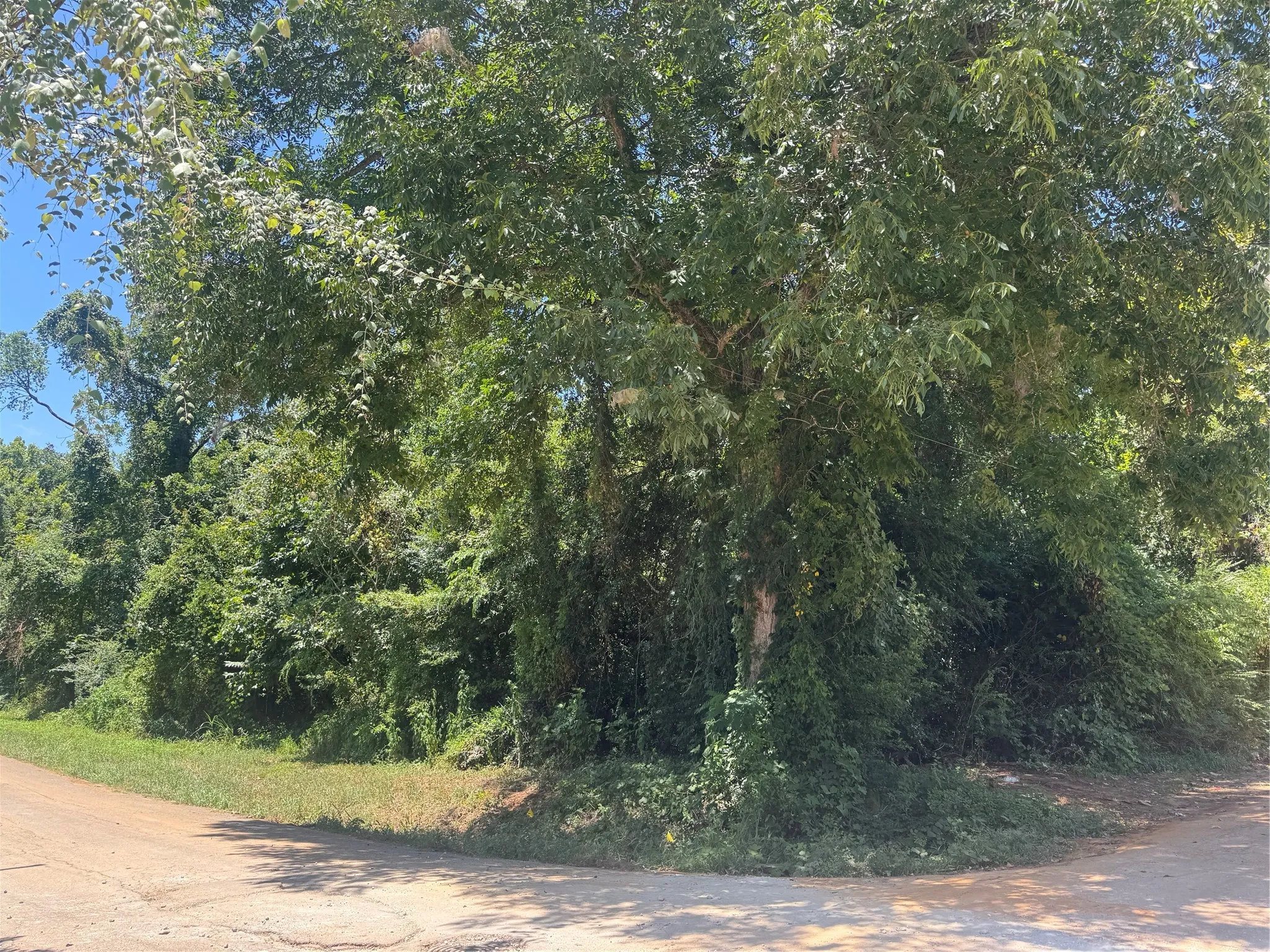 Unimproved Land For Sale in Cherokee County , 735 Devereaux, Jacksonville, Texas 75766, 0, 0, Garage spaces, 0 Sqft, built in 0, mls#21347060, Real Estate Agent in Jacksonville, Homes For Sale in Cherokee county, Homes For Sale in Jacksonville, Realtor in Jacksonville Texas, Real Estate Brokerage Independent Realty Texas, Luminita Cordes Realtor