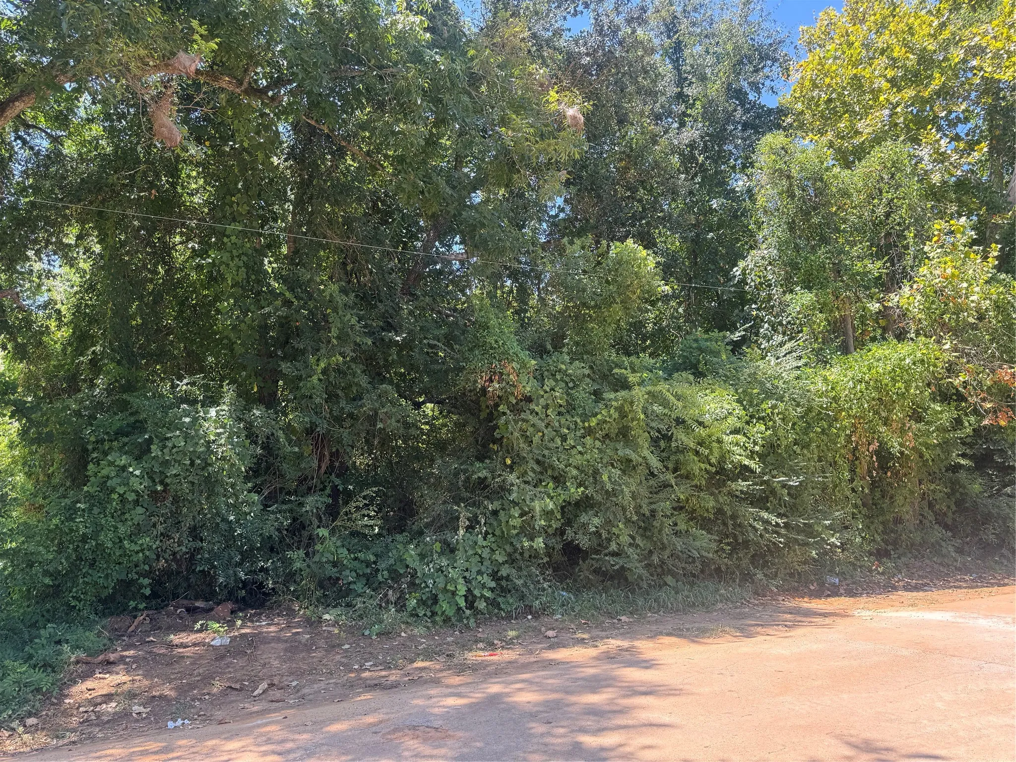 Unimproved Land For Sale in Cherokee County , 735 Devereaux, Jacksonville, Texas 75766, 0, 0, Garage spaces, 0 Sqft, built in 0, mls#21347060, Real Estate Agent in Jacksonville, Homes For Sale in Cherokee county, Homes For Sale in Jacksonville, Realtor in Jacksonville Texas, Real Estate Brokerage Independent Realty Texas, Luminita Cordes Realtor