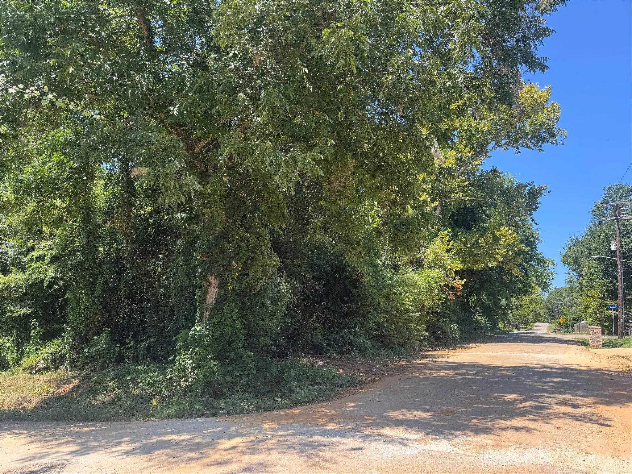 Unimproved Land For Sale in Cherokee County , 735 Devereaux, Jacksonville, Texas 75766, 0, 0, Garage spaces, 0 Sqft, built in 0, mls#21347060, Real Estate Agent in Jacksonville, Homes For Sale in Cherokee county, Homes For Sale in Jacksonville, Realtor in Jacksonville Texas, Real Estate Brokerage Independent Realty Texas, Luminita Cordes Realtor