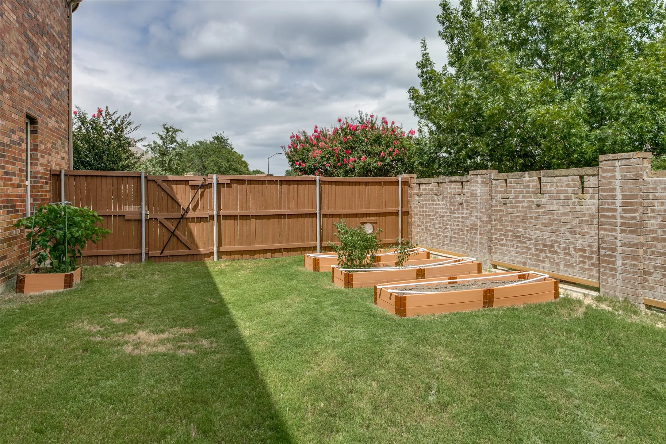 Expansive grassy yard featuring a wood privacy fence, brick perimeter wall, and four raised garden beds