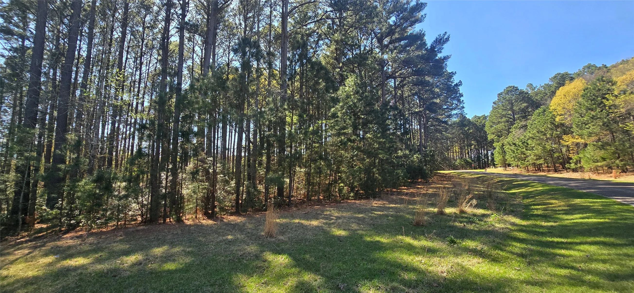 Unimproved Land For Sale in Henderson County , 000 Watters Edge Drive, Larue, Texas 75770, 0, 0, Garage spaces, 0 Sqft, built in 0, Price $159,000, mls#21347074, Real Estate Agent in Larue, Homes For Sale in Henderson county, Homes For Sale in Larue, Realtor in Larue Texas, Real Estate Brokerage Independent Realty Texas, Luminita Cordes Realtor