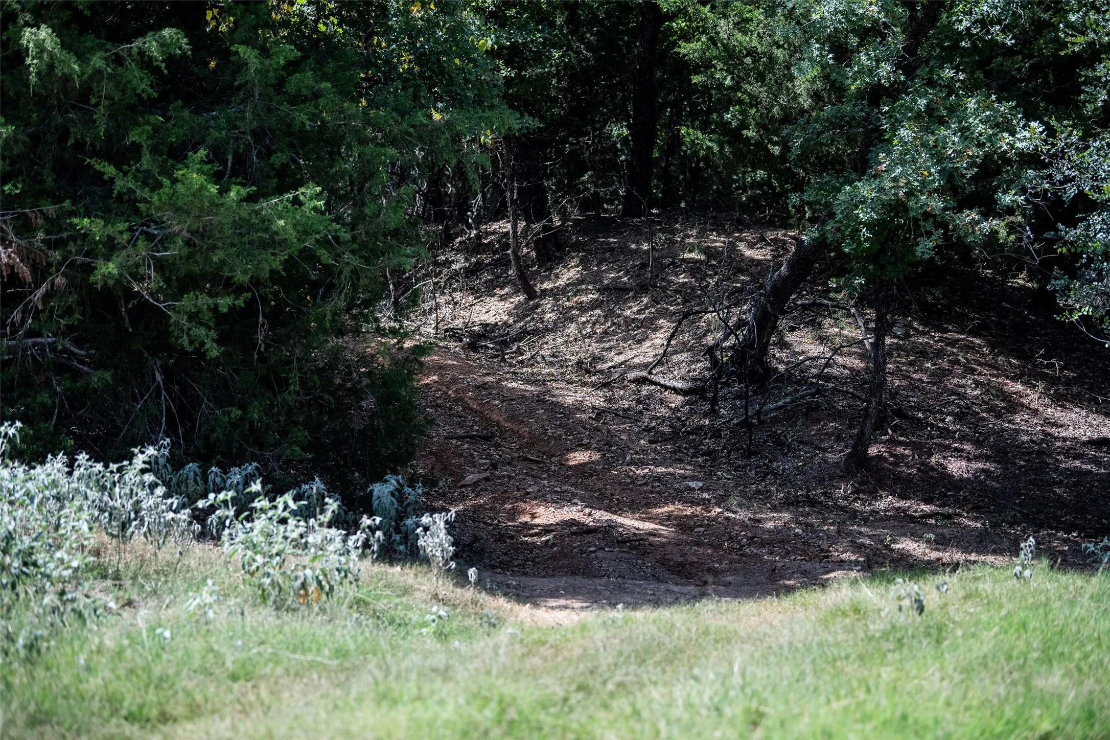 Farm For Sale in Wise County , 344 County Road 1660, Chico, Texas 76431, 4 Bedroom, 4 Bathroom, 6 Garage spaces, 3,648 Sqft, built in 2022, mls#21346317, Real Estate Agent in Chico, Homes For Sale in Wise county, Homes For Sale in Chico, Realtor in Chico Texas, Real Estate Brokerage Independent Realty Texas, Luminita Cordes Realtor