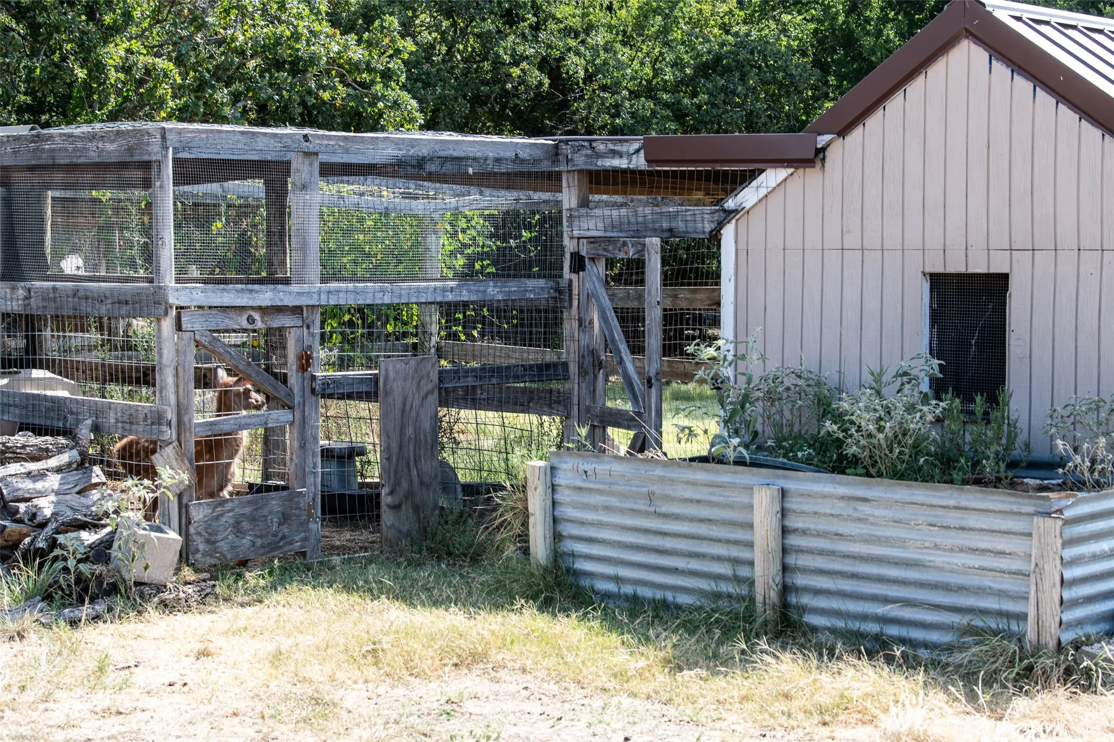 Farm For Sale in Wise County , 344 County Road 1660, Chico, Texas 76431, 4 Bedroom, 4 Bathroom, 6 Garage spaces, 3,648 Sqft, built in 2022, mls#21346317, Real Estate Agent in Chico, Homes For Sale in Wise county, Homes For Sale in Chico, Realtor in Chico Texas, Real Estate Brokerage Independent Realty Texas, Luminita Cordes Realtor