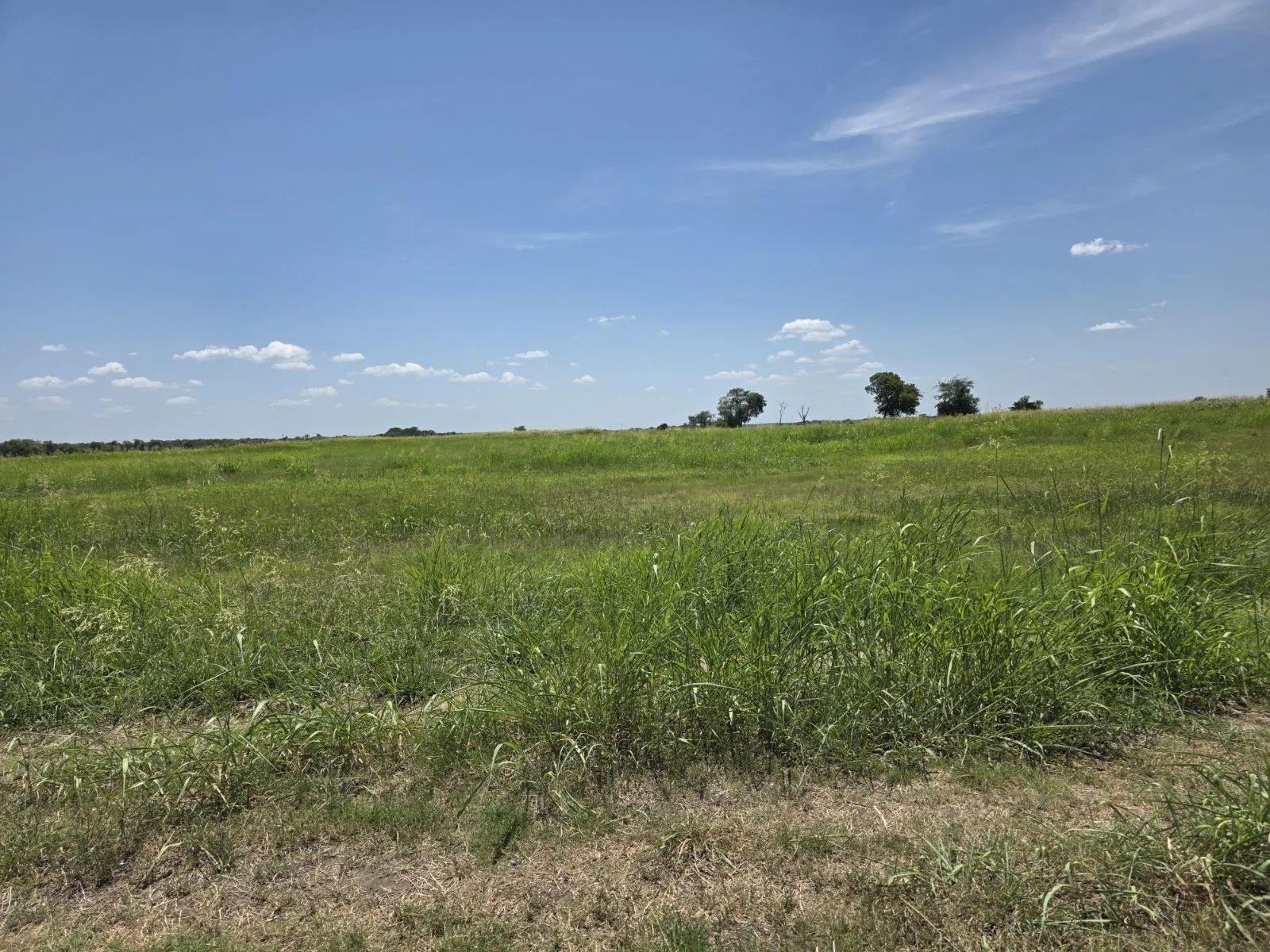 Unimproved Land For Sale in Hunt County , Lot 54 Meadow Circle, Lone Oak, Texas 75453, 0, 0, Garage spaces, 0 Sqft, built in 0, mls#21347107, Real Estate Agent in Lone Oak, Homes For Sale in Hunt county, Homes For Sale in Lone Oak, Realtor in Lone Oak Texas, Real Estate Brokerage Independent Realty Texas, Luminita Cordes Realtor