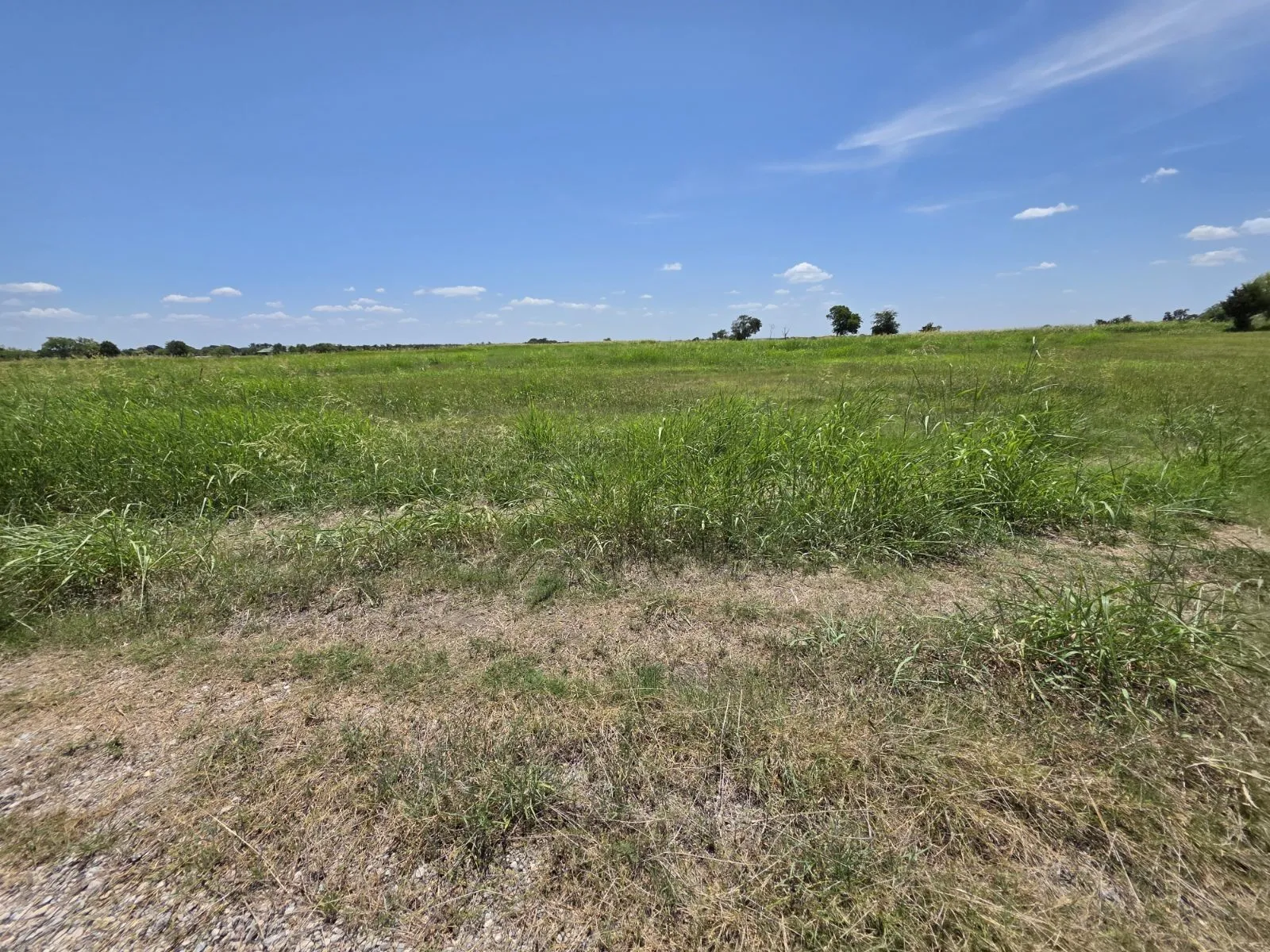Unimproved Land For Sale in Hunt County , Lot 54 Meadow Circle, Lone Oak, Texas 75453, 0, 0, Garage spaces, 0 Sqft, built in 0, mls#21347107, Real Estate Agent in Lone Oak, Homes For Sale in Hunt county, Homes For Sale in Lone Oak, Realtor in Lone Oak Texas, Real Estate Brokerage Independent Realty Texas, Luminita Cordes Realtor