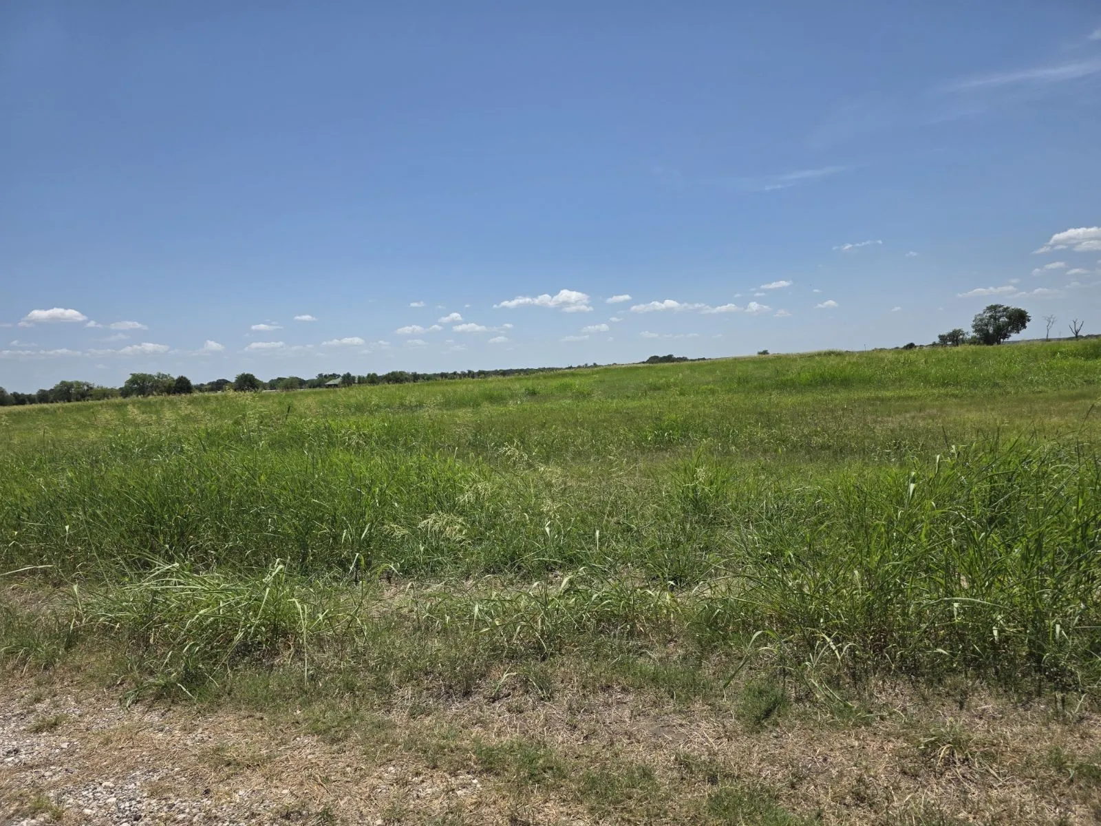Unimproved Land For Sale in Hunt County , Lot 54 Meadow Circle, Lone Oak, Texas 75453, 0, 0, Garage spaces, 0 Sqft, built in 0, mls#21347107, Real Estate Agent in Lone Oak, Homes For Sale in Hunt county, Homes For Sale in Lone Oak, Realtor in Lone Oak Texas, Real Estate Brokerage Independent Realty Texas, Luminita Cordes Realtor