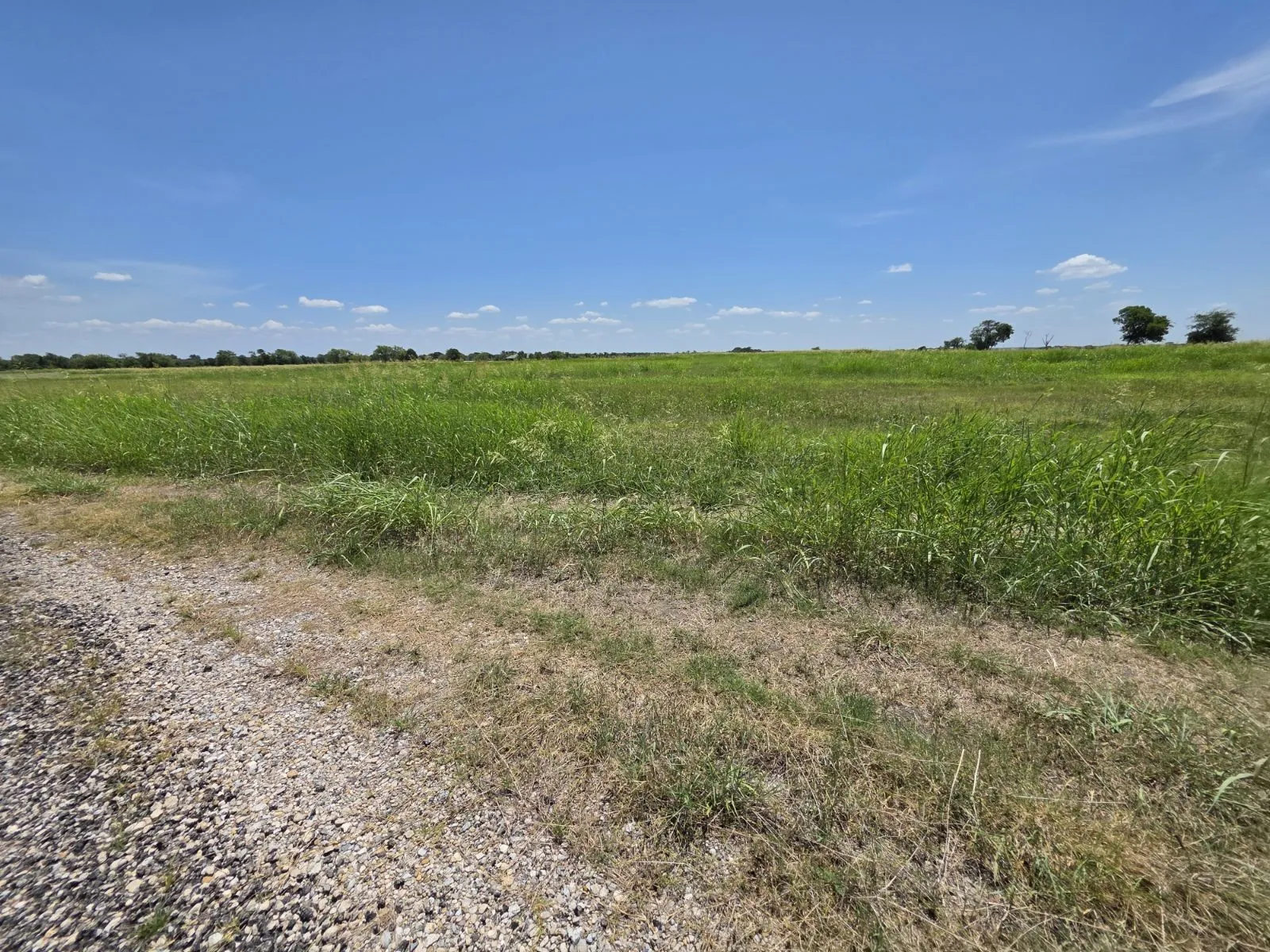 Unimproved Land For Sale in Hunt County , Lot 54 Meadow Circle, Lone Oak, Texas 75453, 0, 0, Garage spaces, 0 Sqft, built in 0, mls#21347107, Real Estate Agent in Lone Oak, Homes For Sale in Hunt county, Homes For Sale in Lone Oak, Realtor in Lone Oak Texas, Real Estate Brokerage Independent Realty Texas, Luminita Cordes Realtor