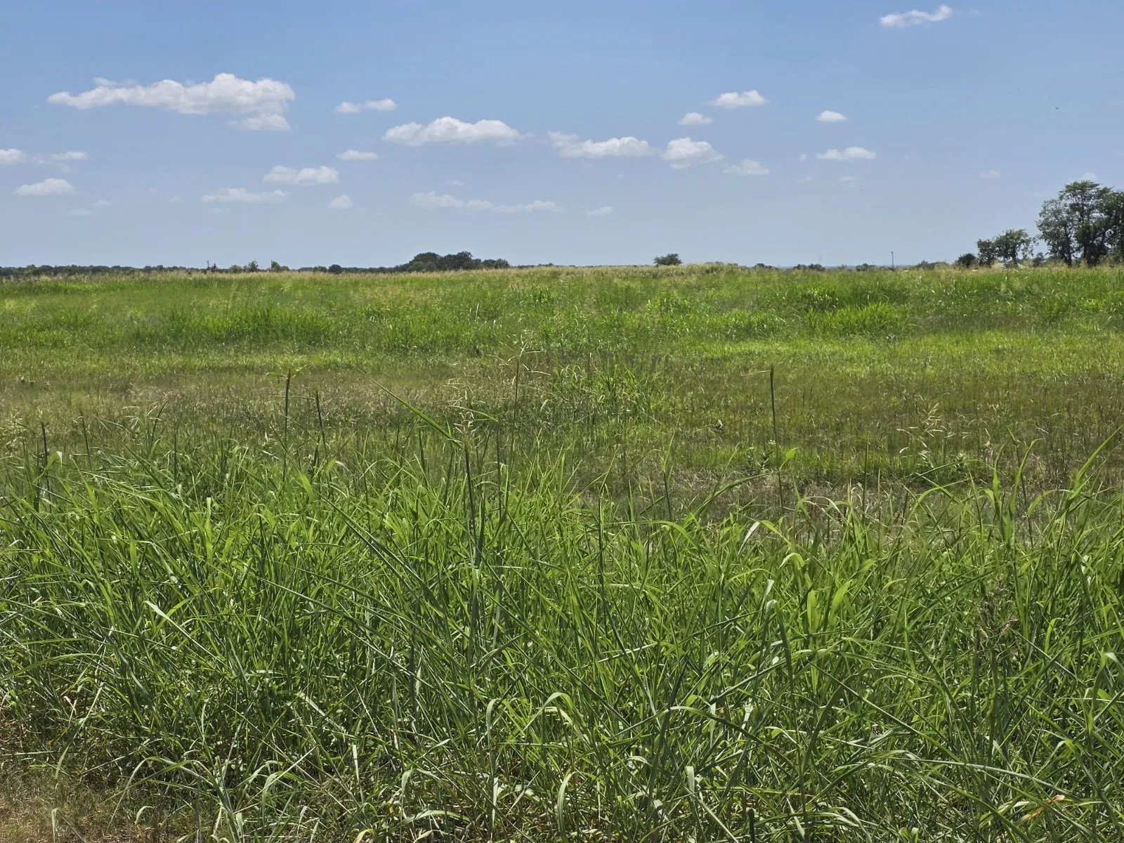 Unimproved Land For Sale in Hunt County , Lot 54 Meadow Circle, Lone Oak, Texas 75453, 0, 0, Garage spaces, 0 Sqft, built in 0, mls#21347107, Real Estate Agent in Lone Oak, Homes For Sale in Hunt county, Homes For Sale in Lone Oak, Realtor in Lone Oak Texas, Real Estate Brokerage Independent Realty Texas, Luminita Cordes Realtor