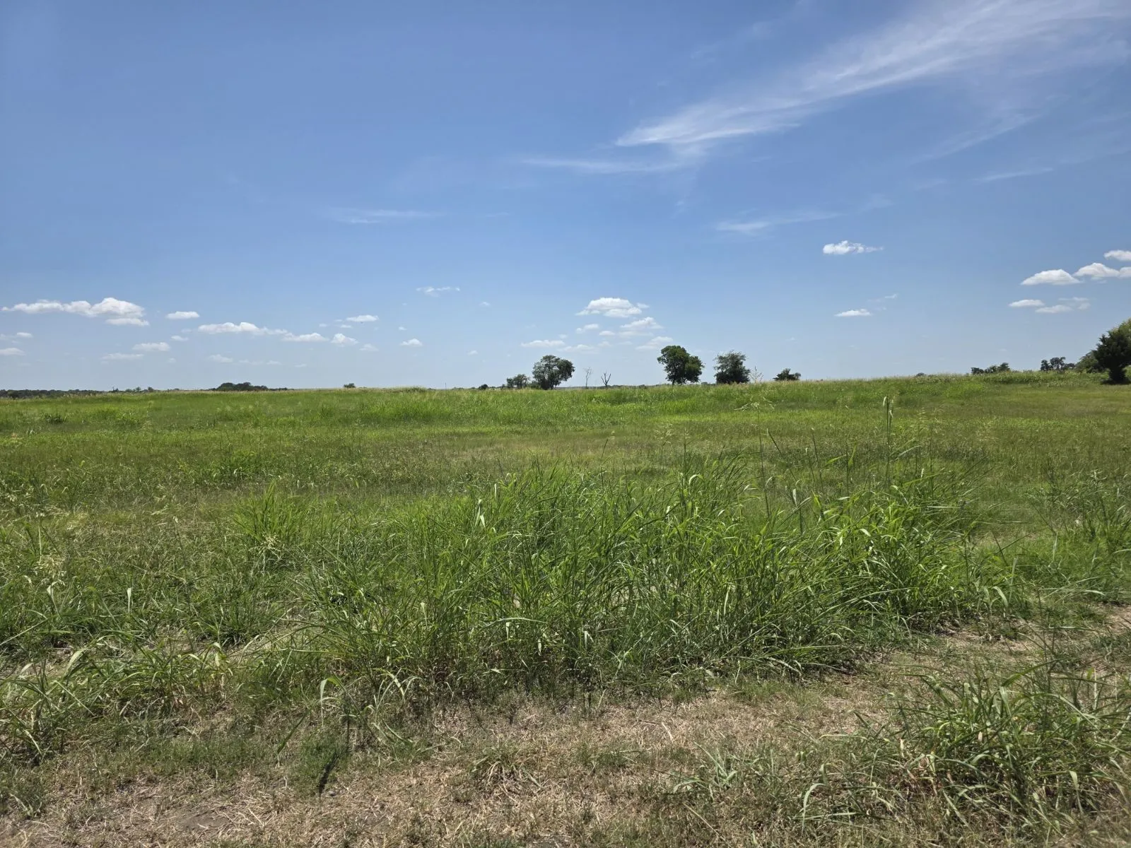 Unimproved Land For Sale in Hunt County , Lot 54 Meadow Circle, Lone Oak, Texas 75453, 0, 0, Garage spaces, 0 Sqft, built in 0, mls#21347107, Real Estate Agent in Lone Oak, Homes For Sale in Hunt county, Homes For Sale in Lone Oak, Realtor in Lone Oak Texas, Real Estate Brokerage Independent Realty Texas, Luminita Cordes Realtor