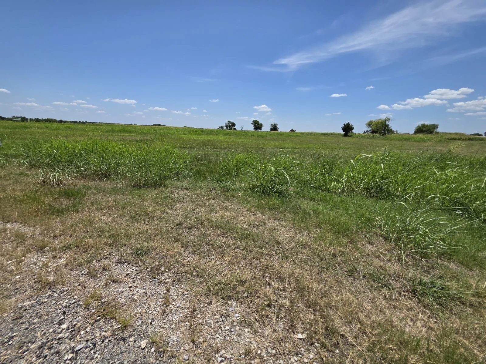 Unimproved Land For Sale in Hunt County , Lot 54 Meadow Circle, Lone Oak, Texas 75453, 0, 0, Garage spaces, 0 Sqft, built in 0, mls#21347107, Real Estate Agent in Lone Oak, Homes For Sale in Hunt county, Homes For Sale in Lone Oak, Realtor in Lone Oak Texas, Real Estate Brokerage Independent Realty Texas, Luminita Cordes Realtor