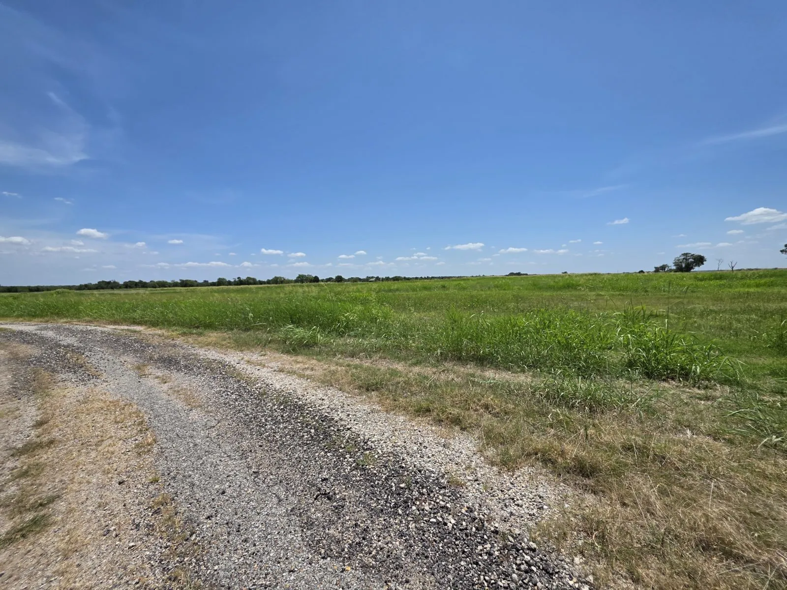 Unimproved Land For Sale in Hunt County , Lot 54 Meadow Circle, Lone Oak, Texas 75453, 0, 0, Garage spaces, 0 Sqft, built in 0, mls#21347107, Real Estate Agent in Lone Oak, Homes For Sale in Hunt county, Homes For Sale in Lone Oak, Realtor in Lone Oak Texas, Real Estate Brokerage Independent Realty Texas, Luminita Cordes Realtor